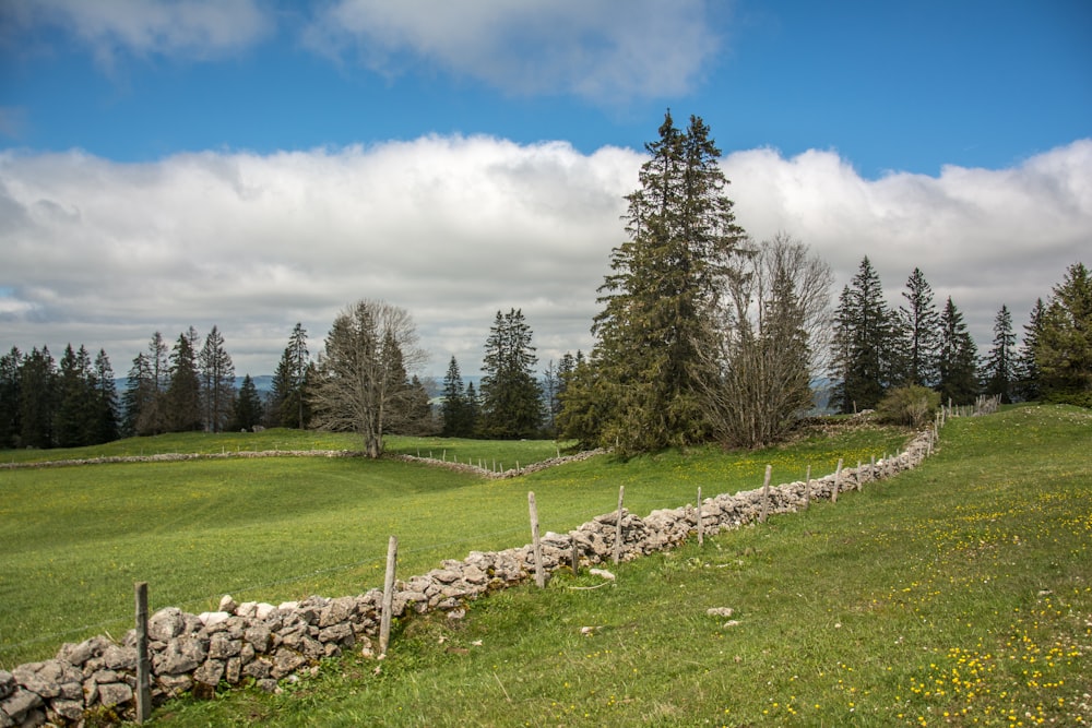 a grassy field with a stone wall and trees in the background