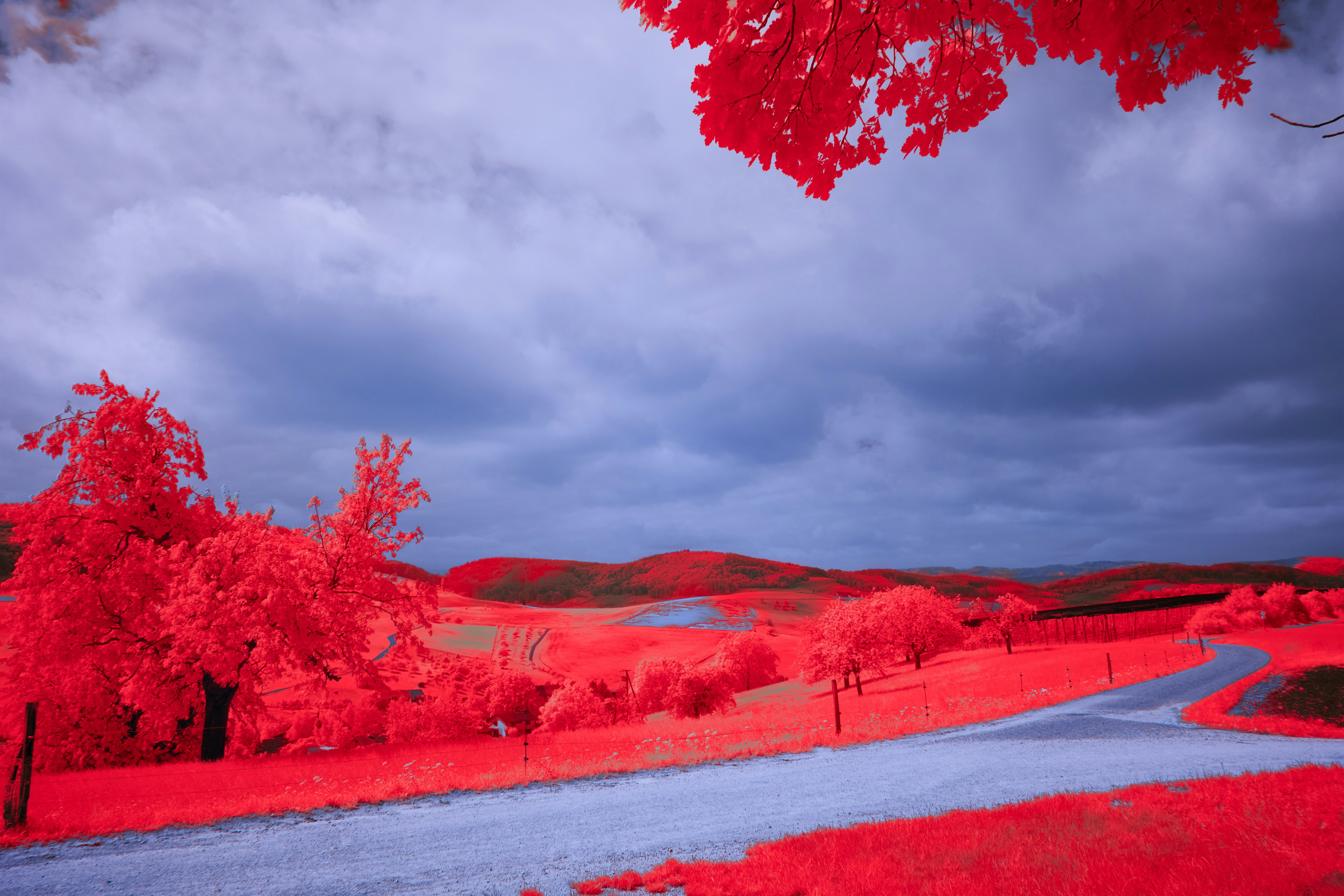 Photo by wolfgang_hasselmann