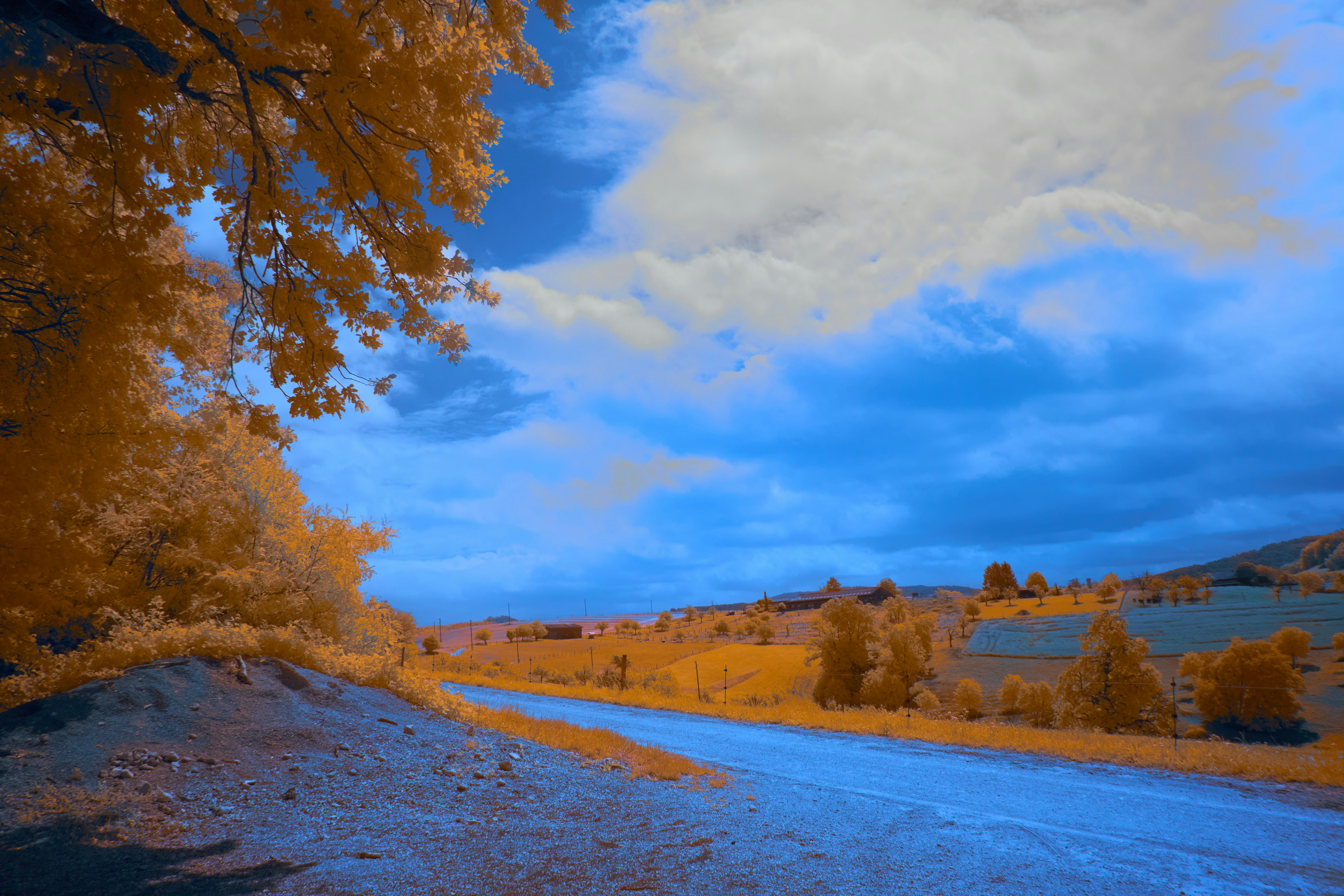 Photo by wolfgang_hasselmann