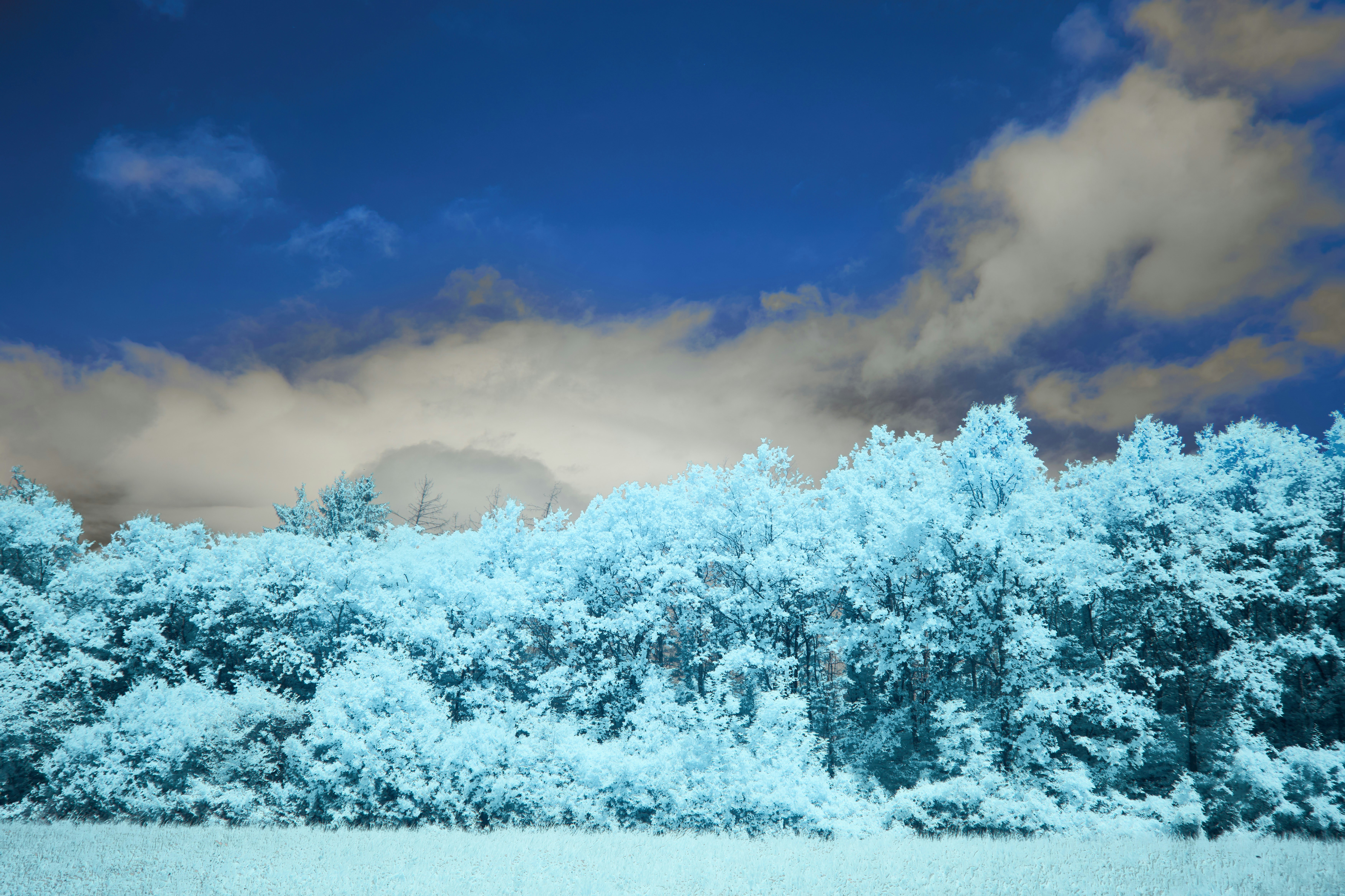 Photo by wolfgang_hasselmann