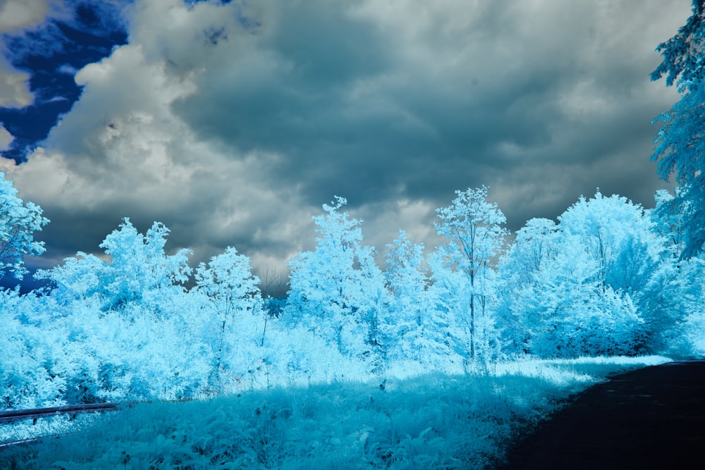 a blue forest with a cloudy sky in the background