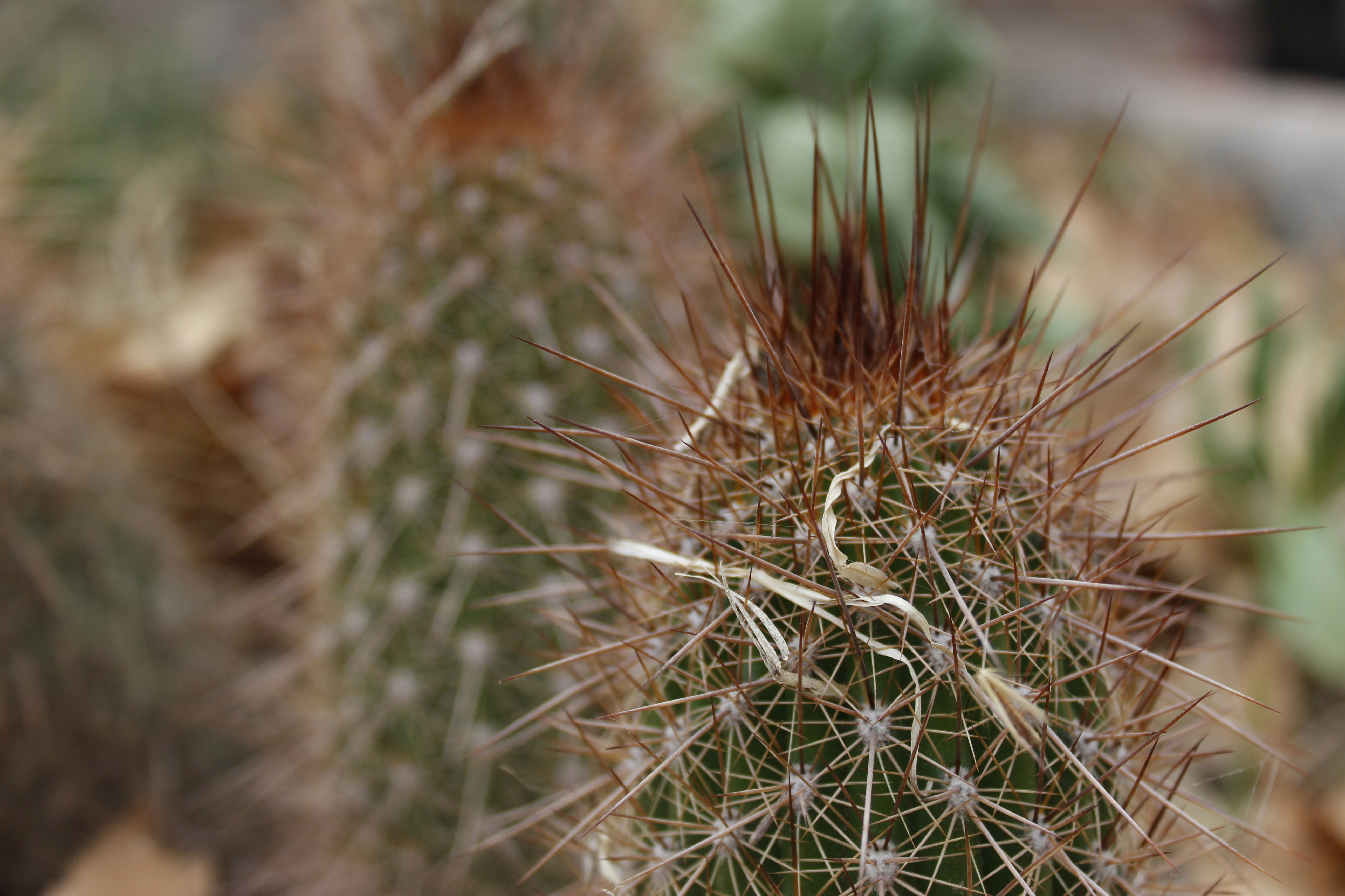 Photo by wuolaoficial