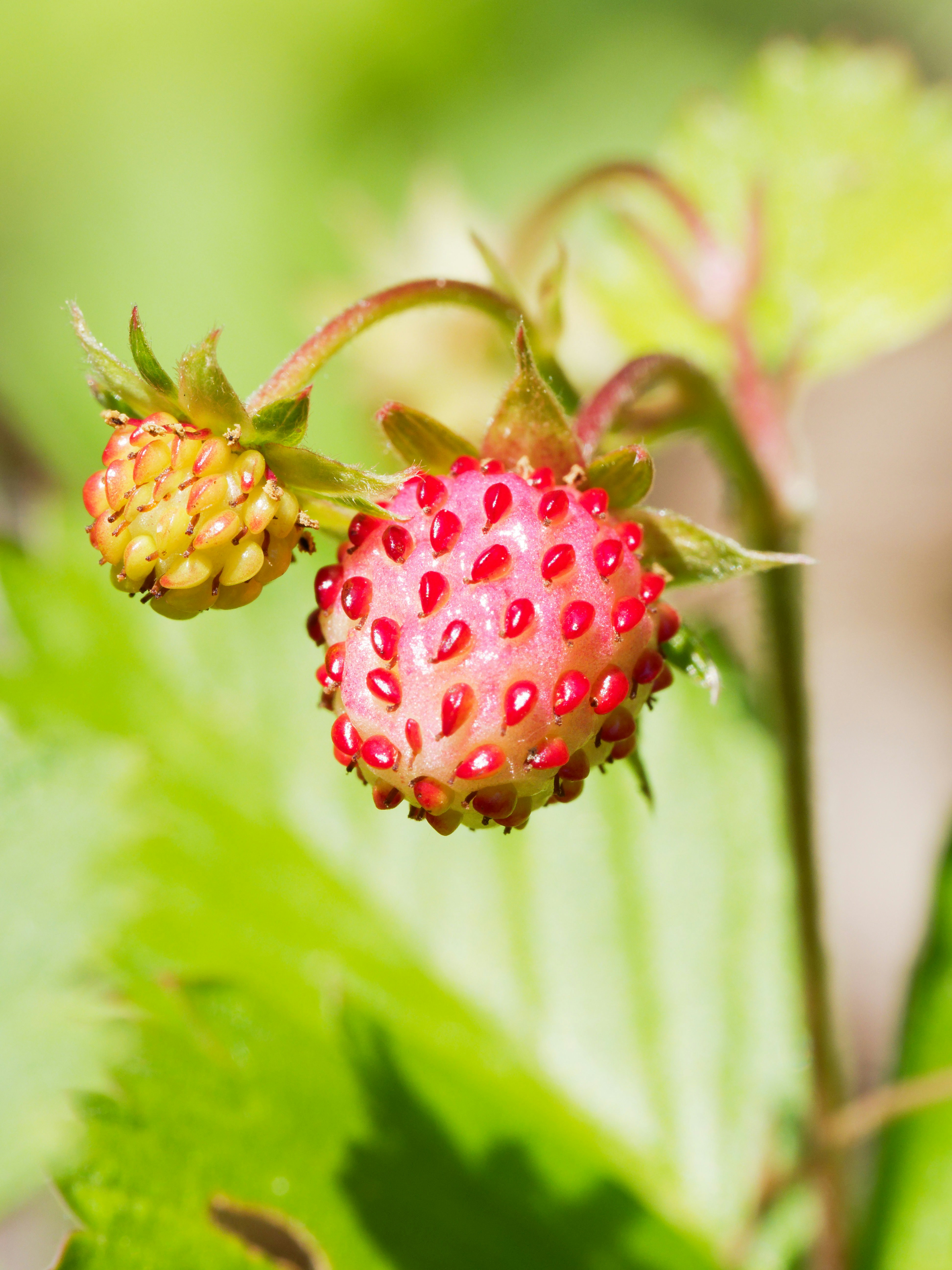 Photo by illes_cristi