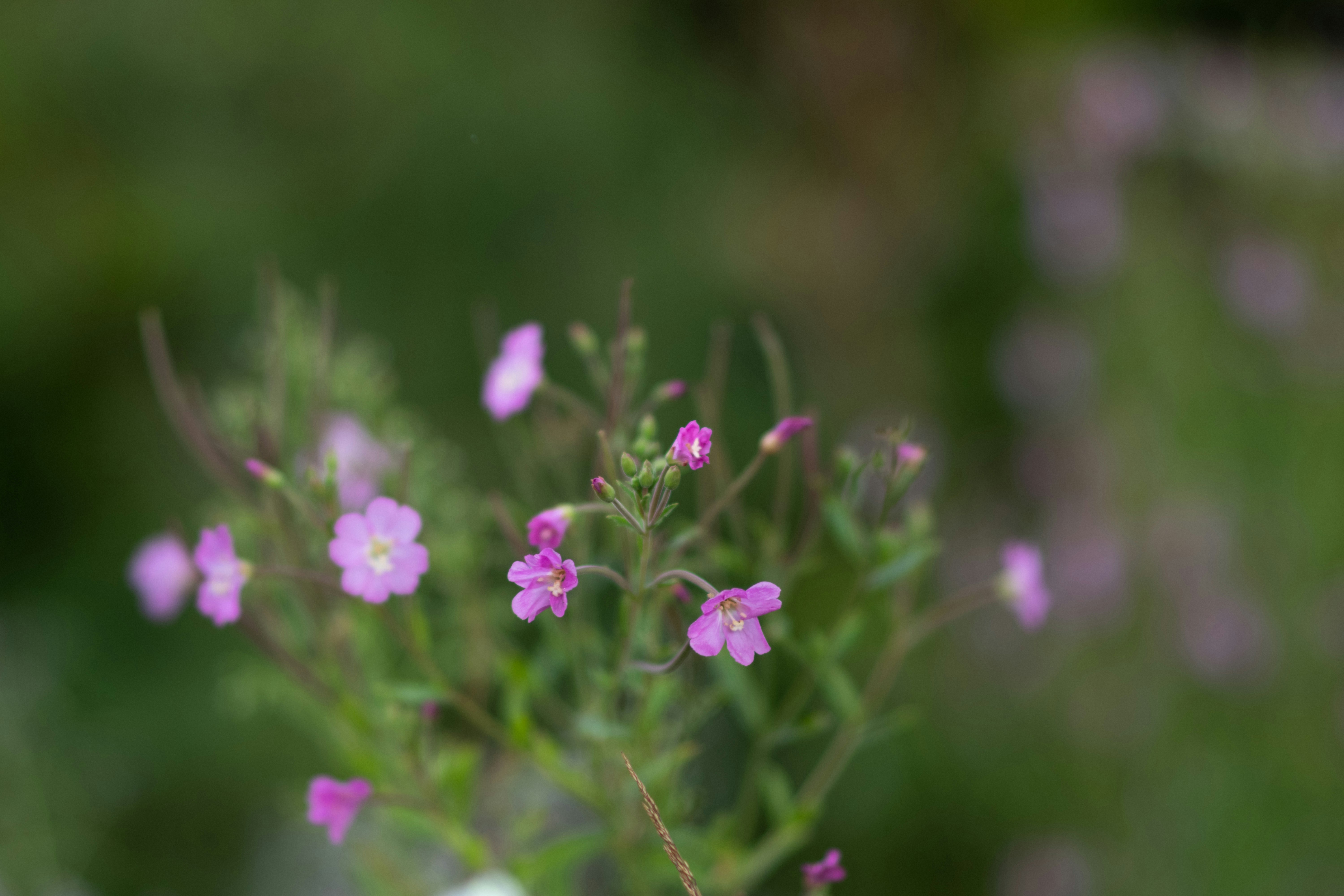 Photo by sevencolors