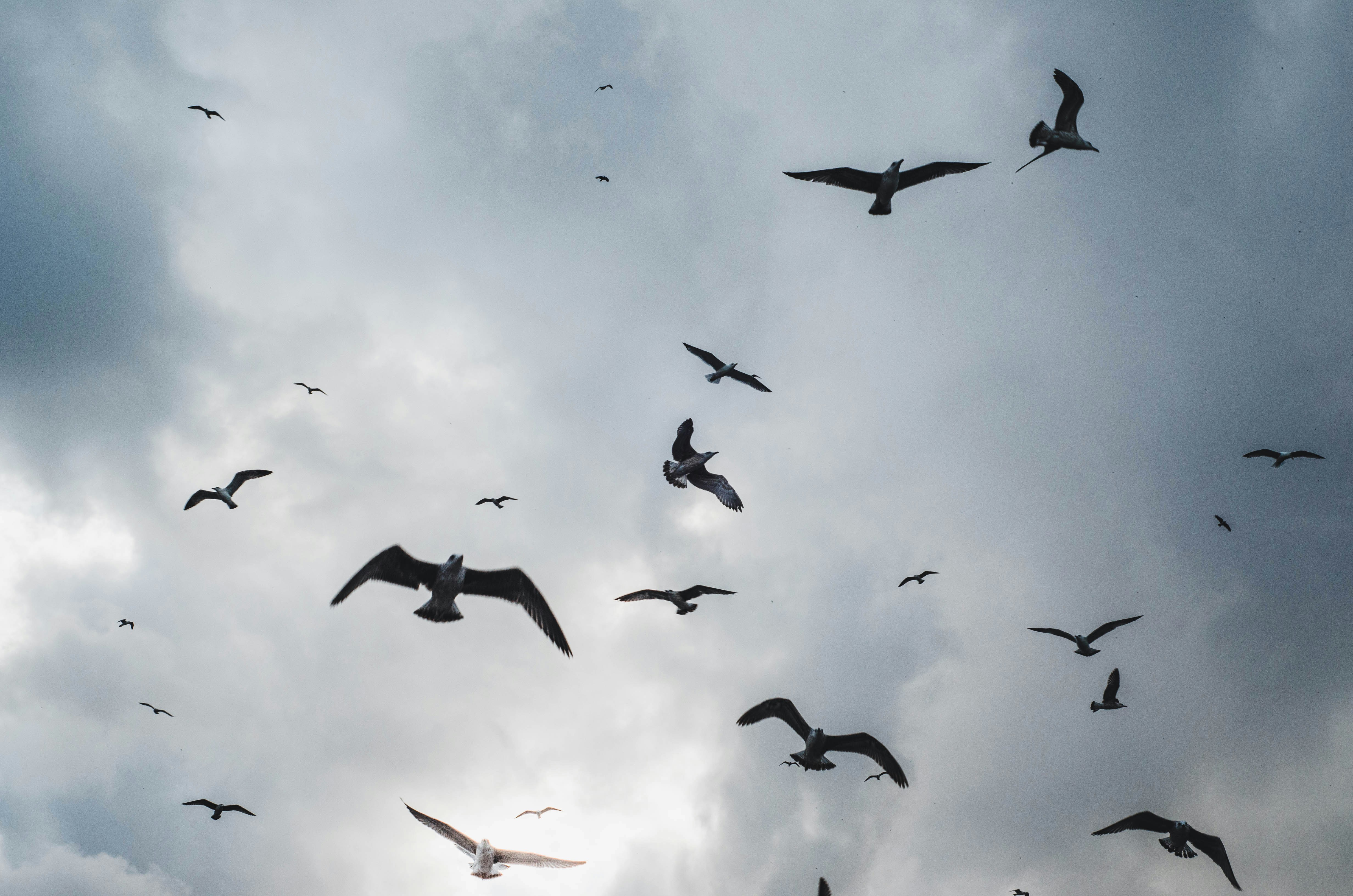 Photo by ajdincoric24