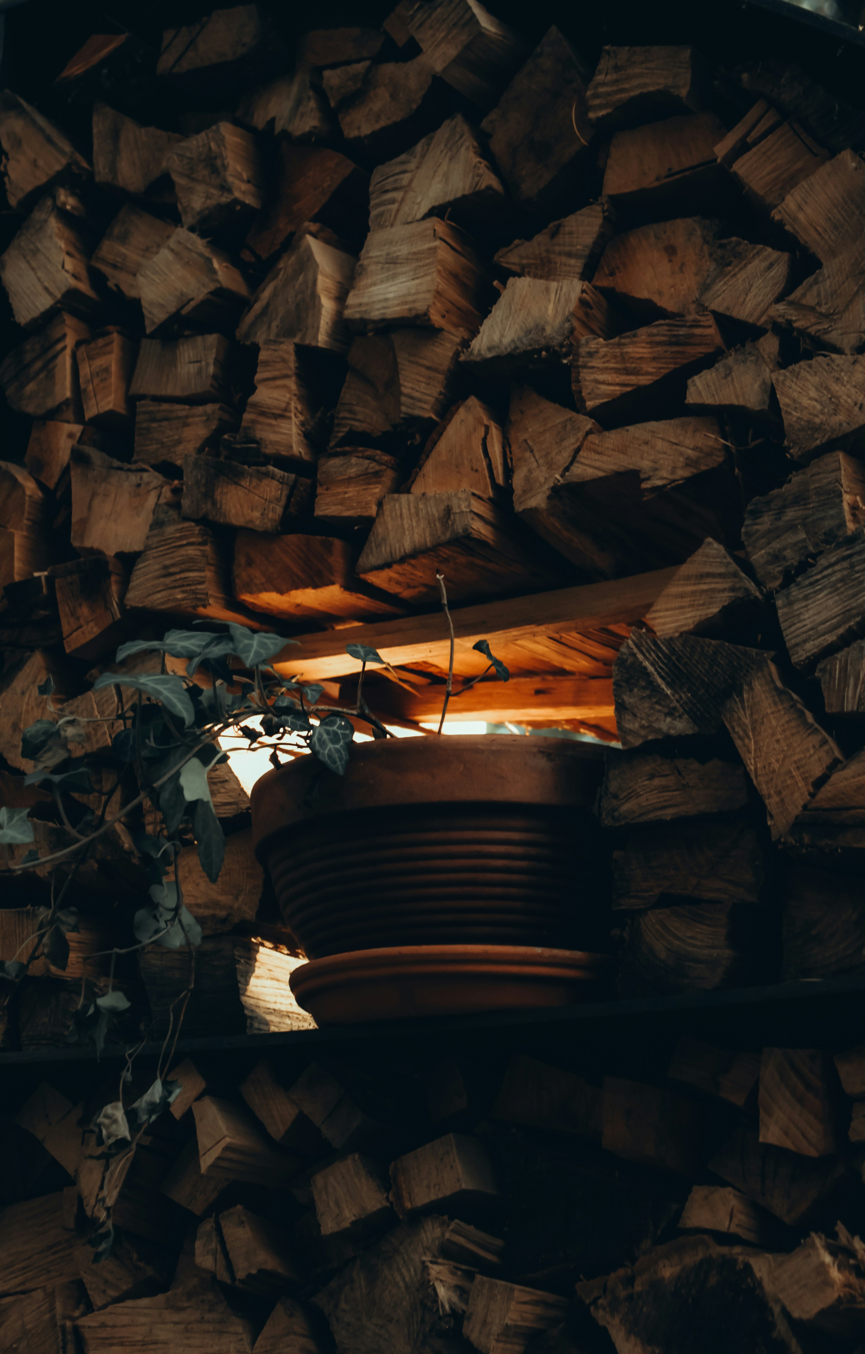 Simple Dessert Ideas for the Campfire