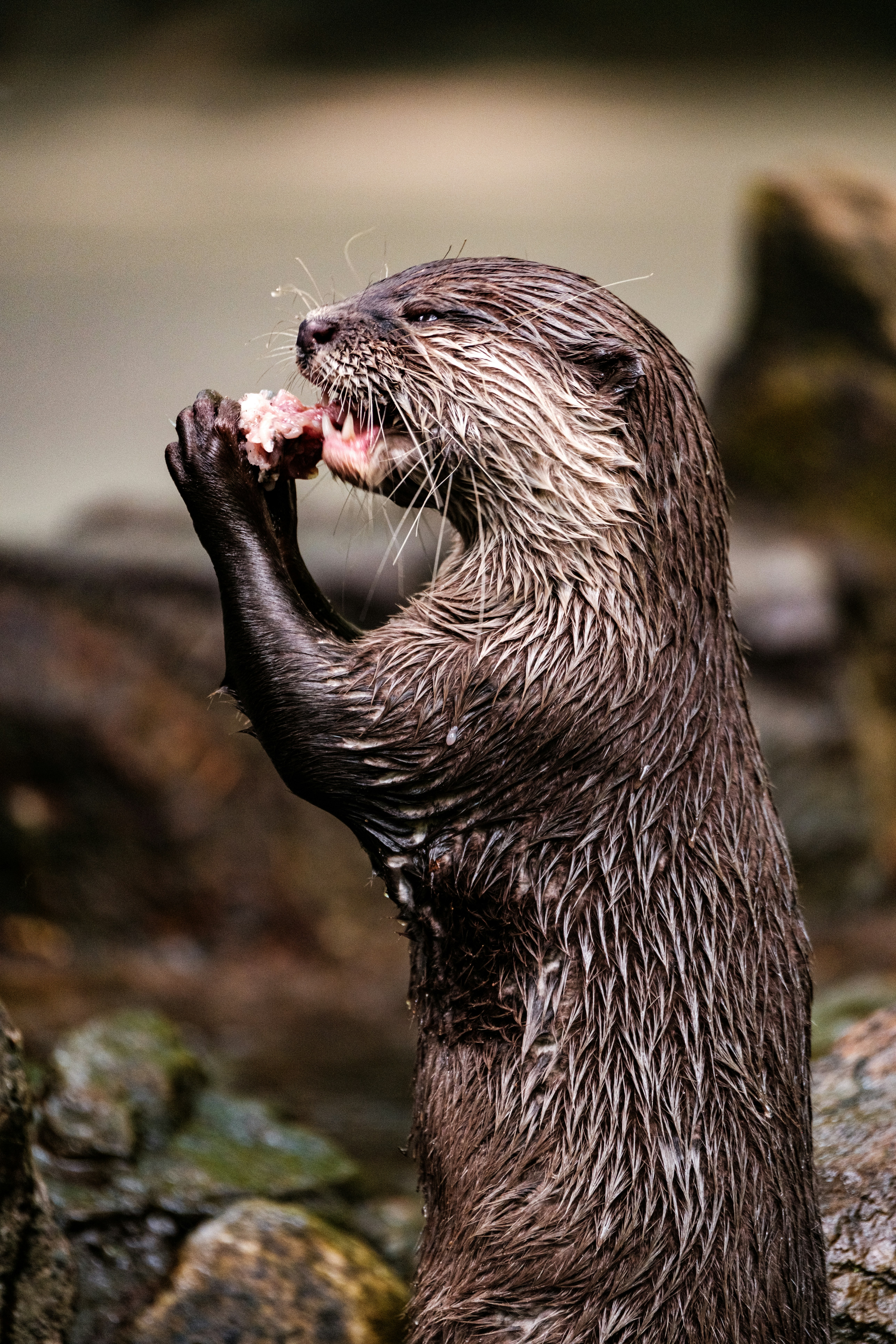 Photo by haberdoedas2