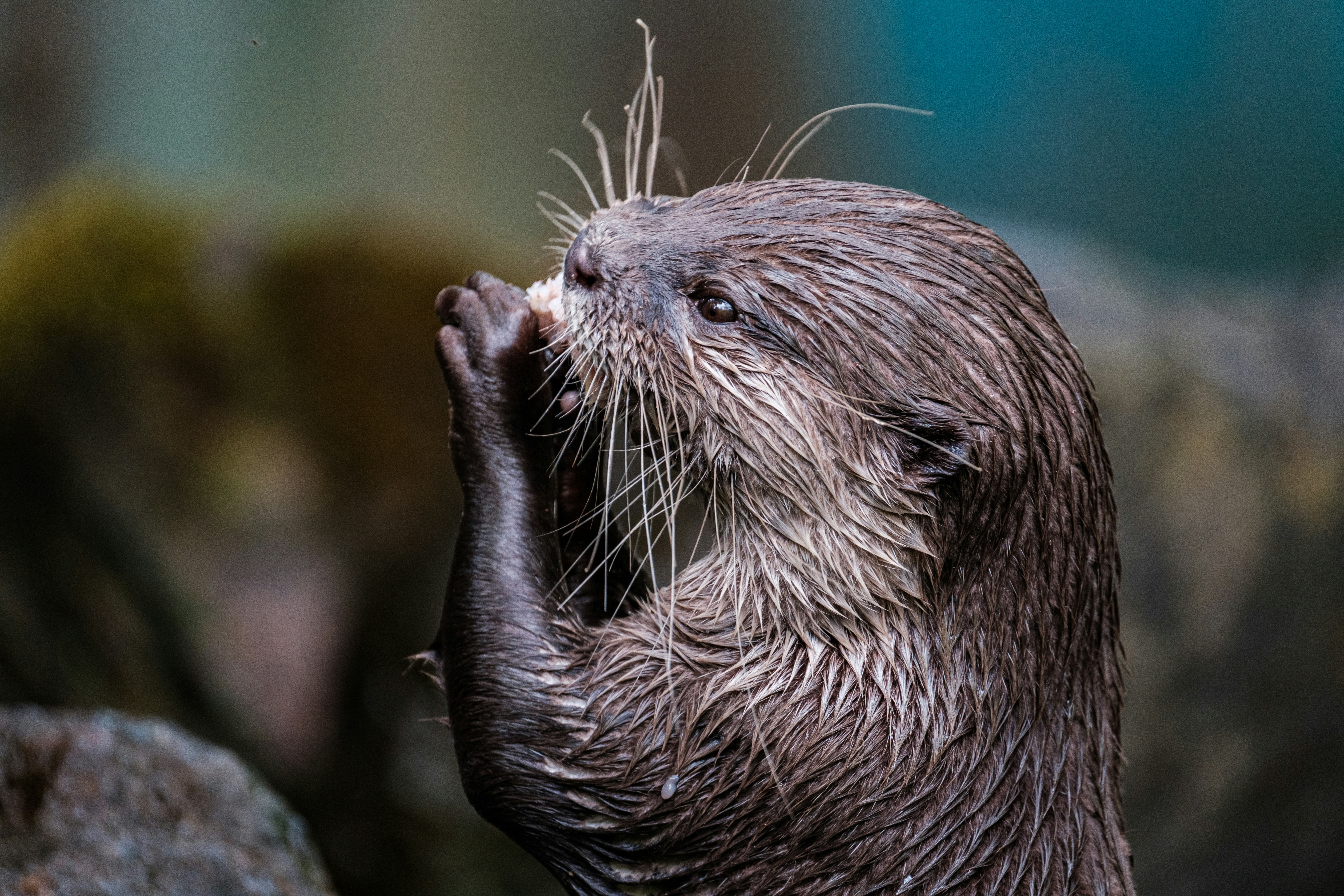 Photo by haberdoedas2