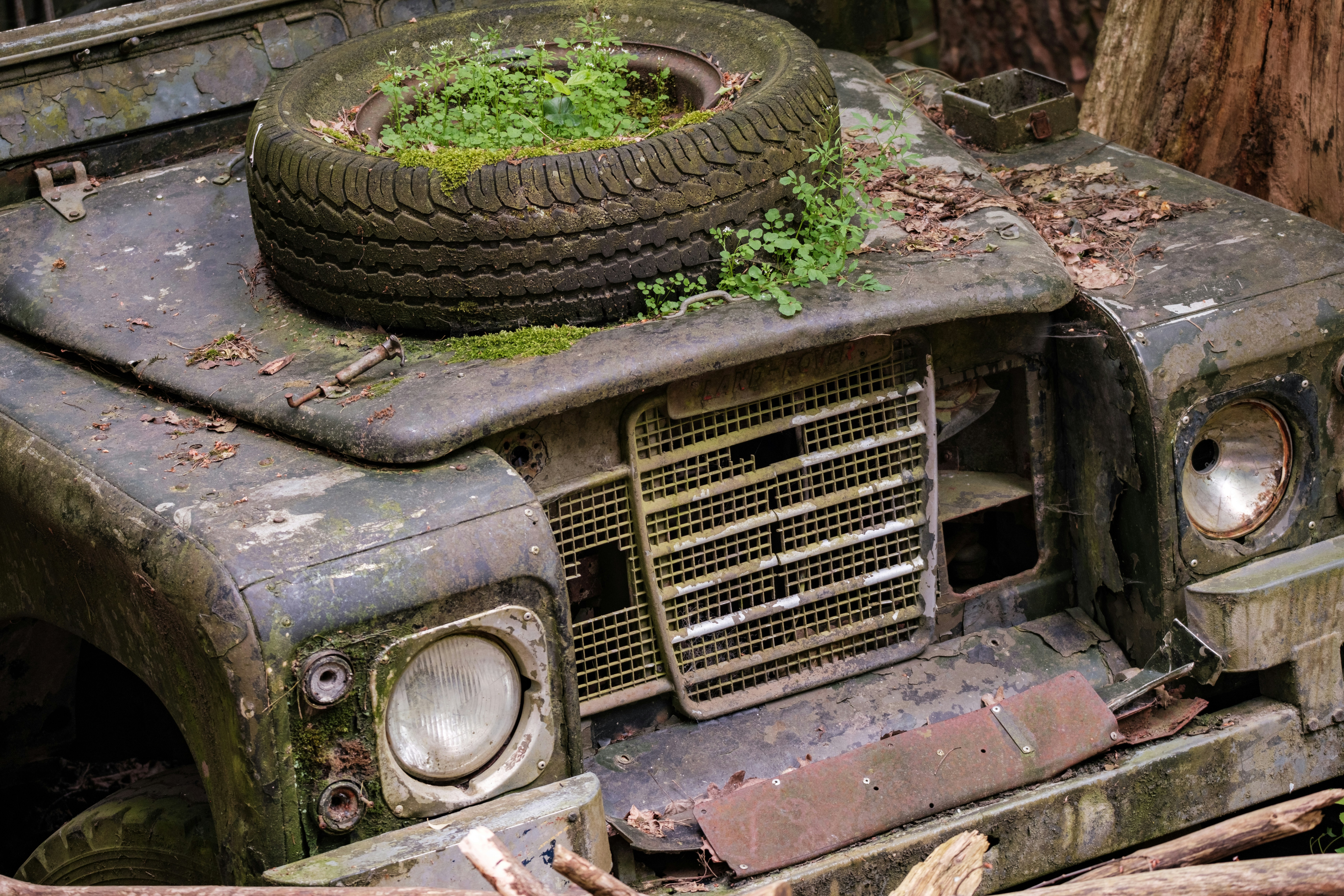 日産車のメンテナンス費用を徹底解説！賢く抑える方法から長期的な維持費まで関連画像(1)