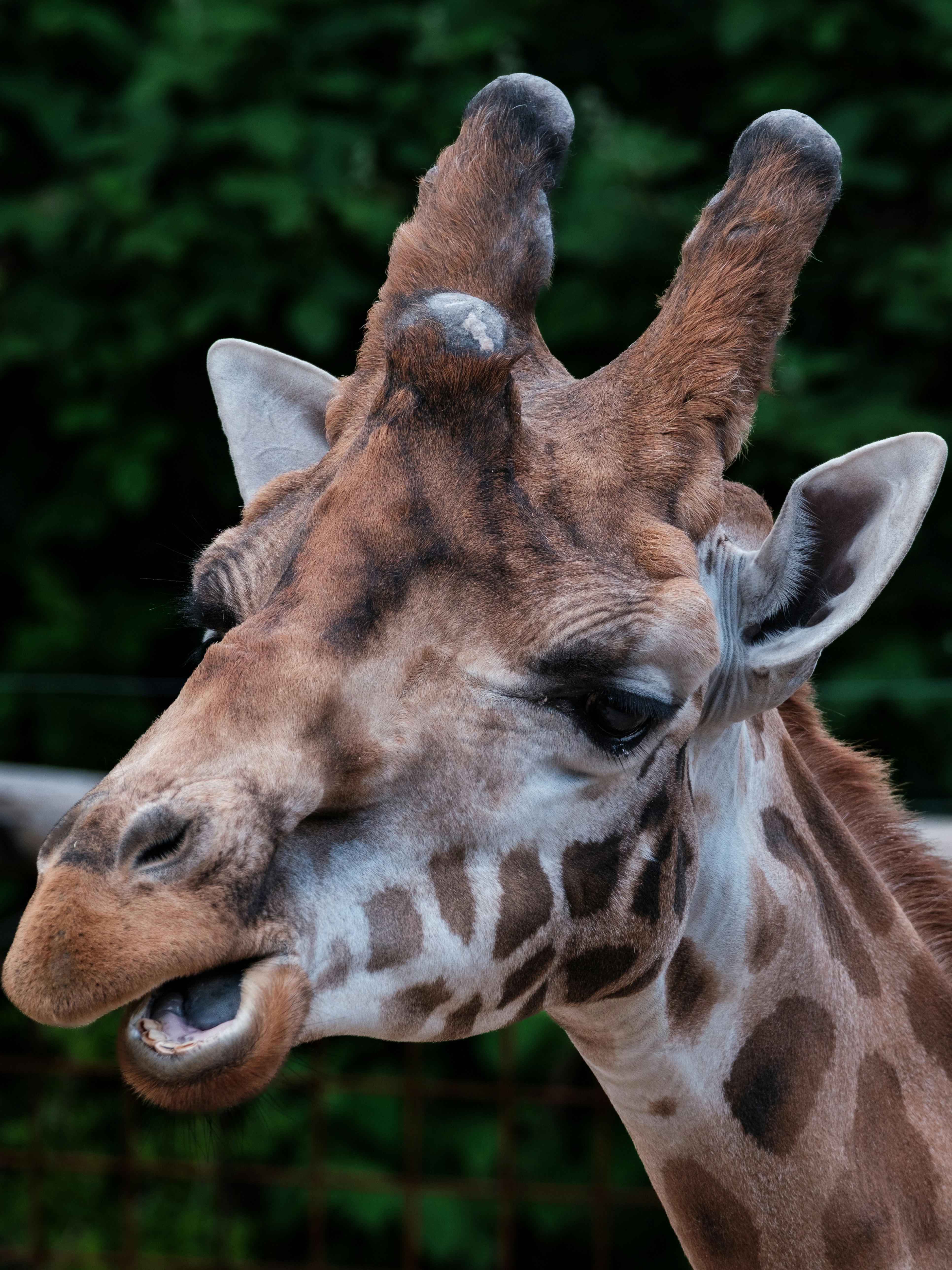 Photo by haberdoedas2