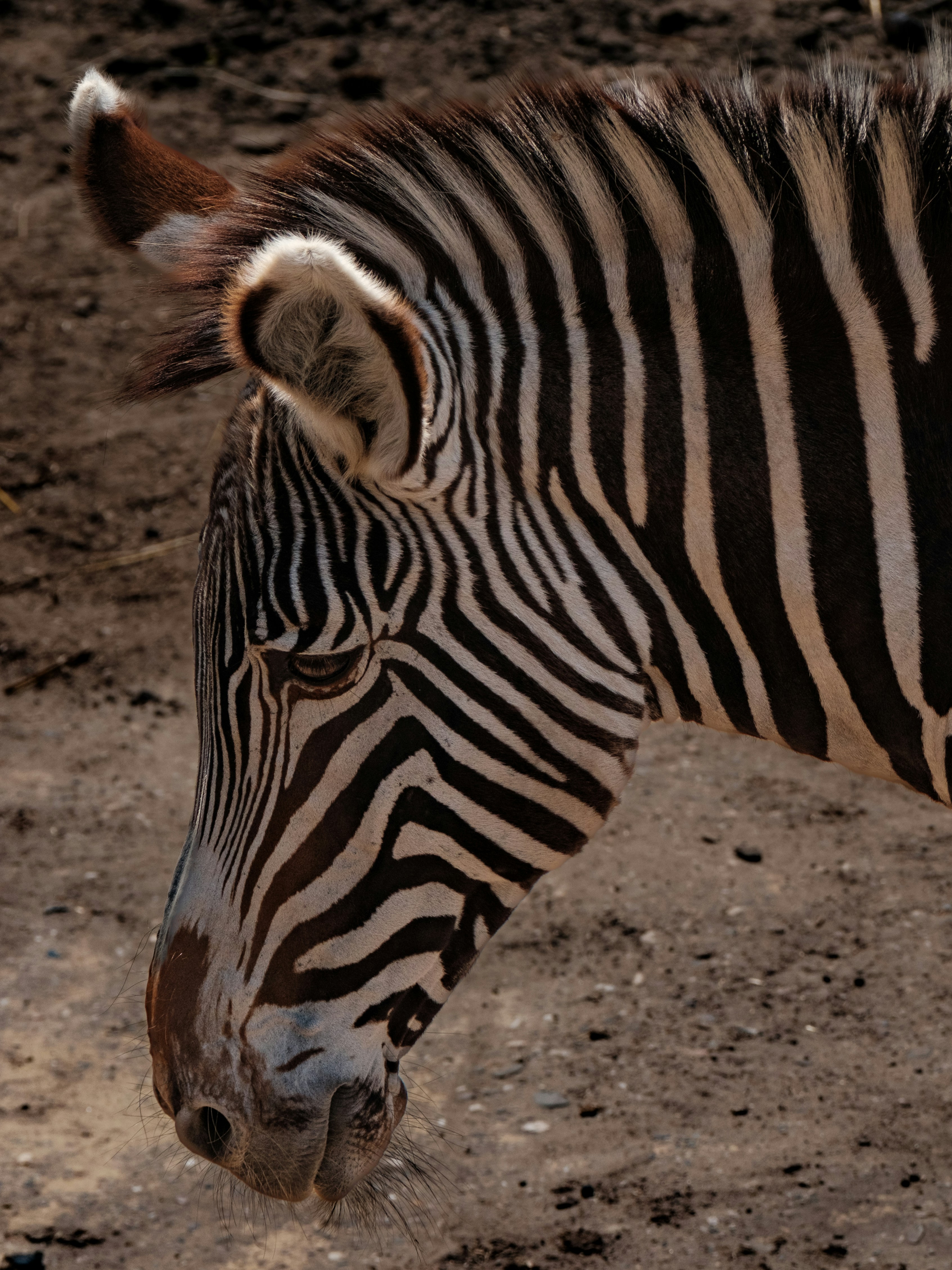 Photo by haberdoedas2