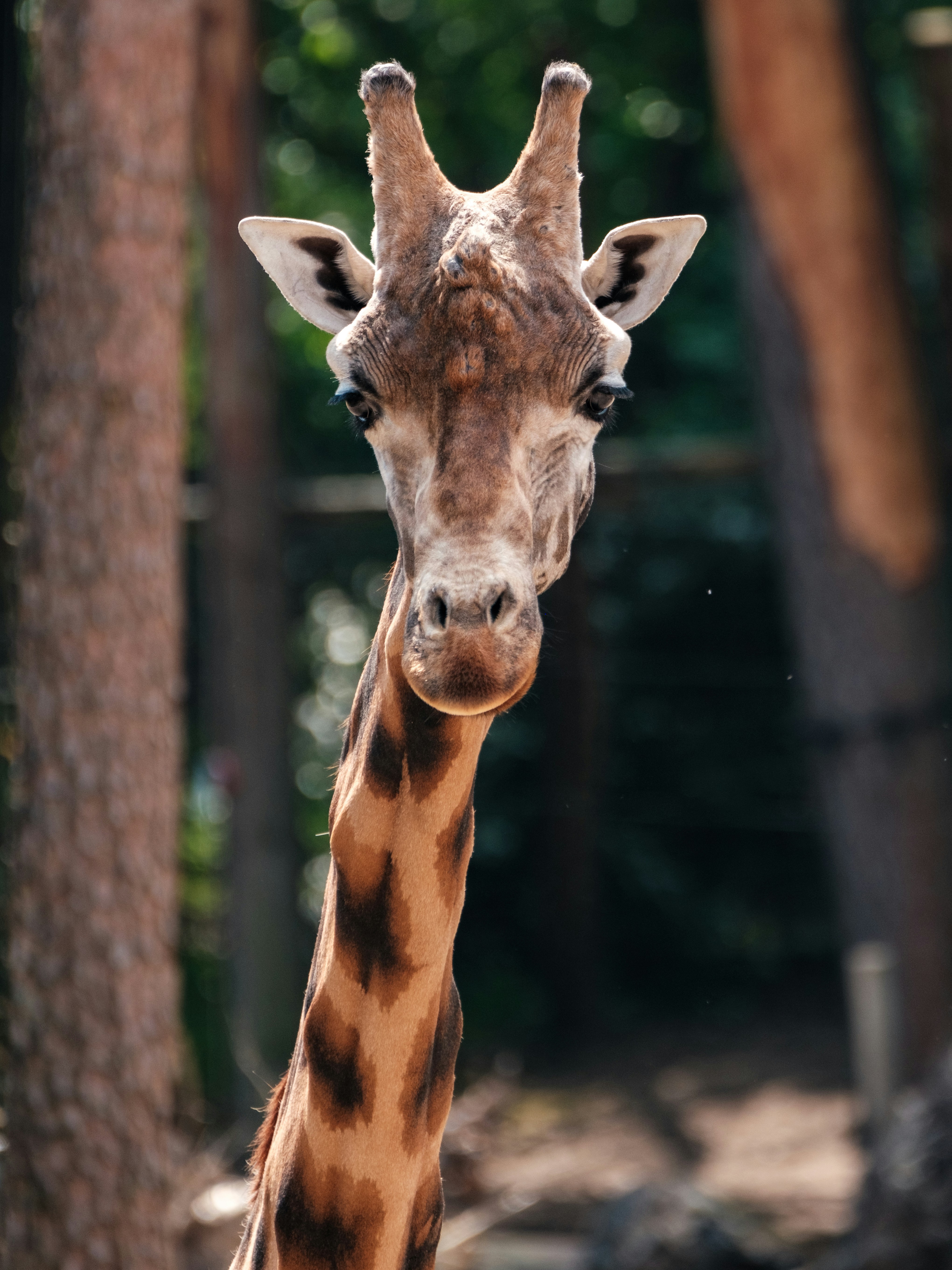 Photo by haberdoedas2