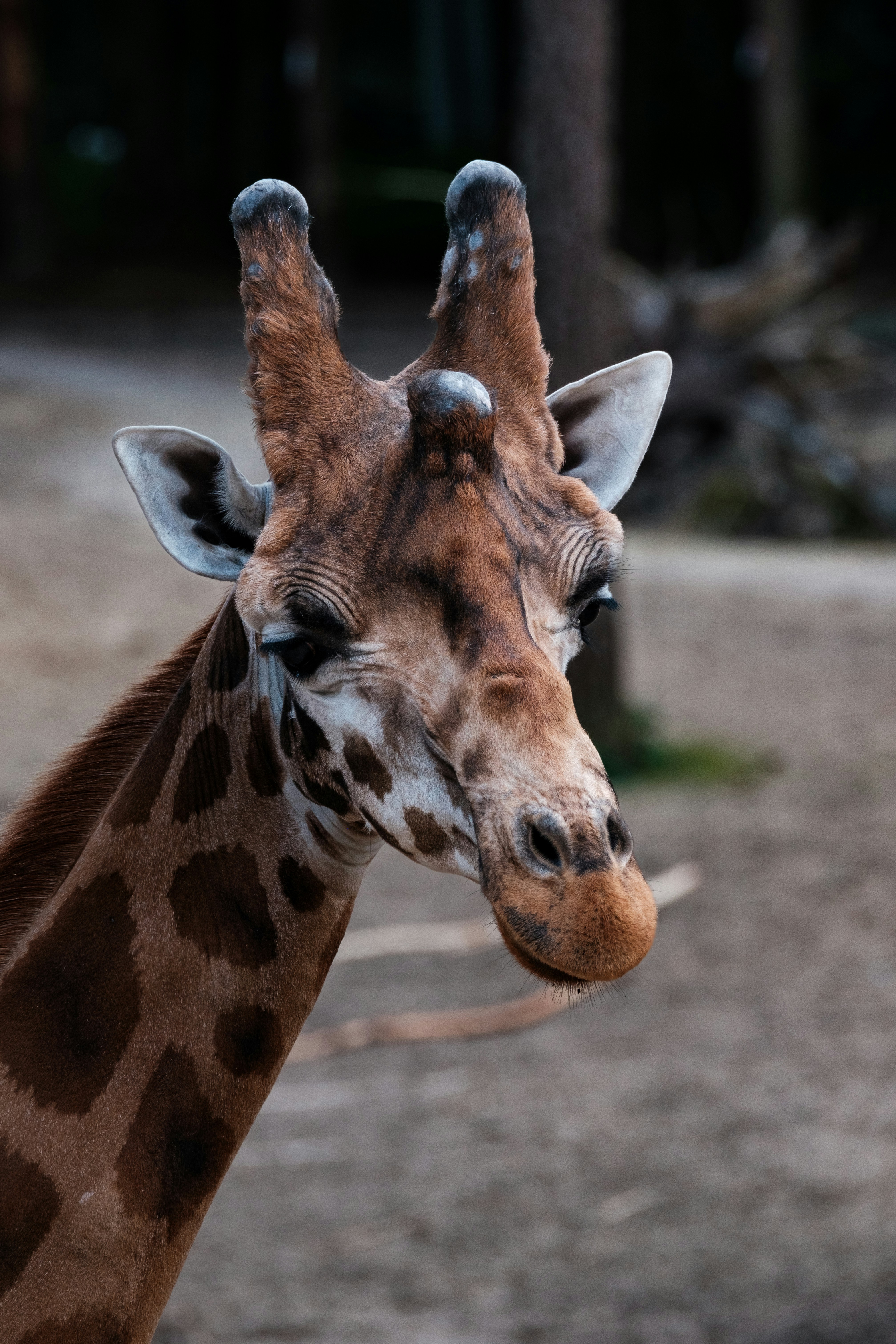 Photo by haberdoedas2