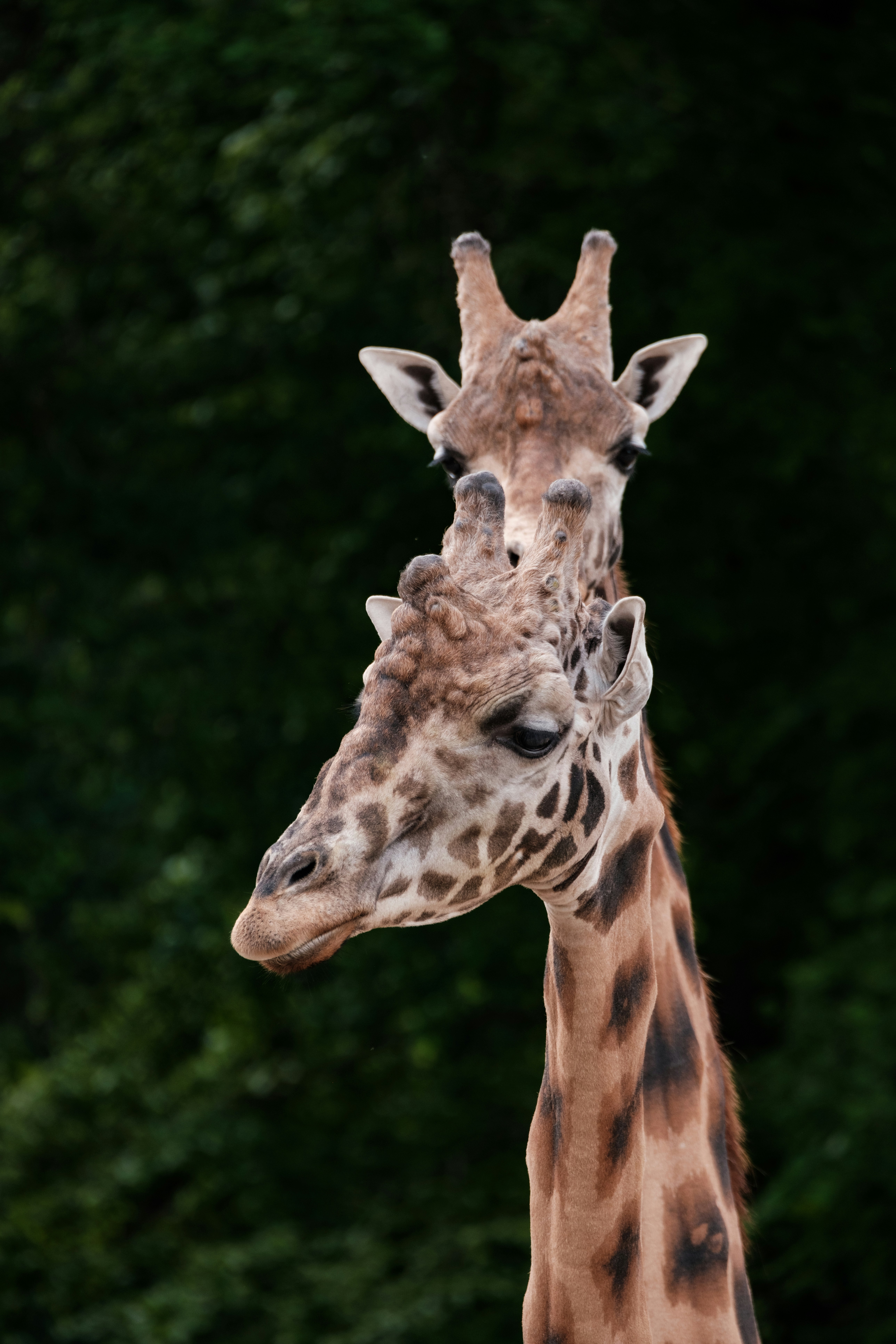 Photo by haberdoedas2