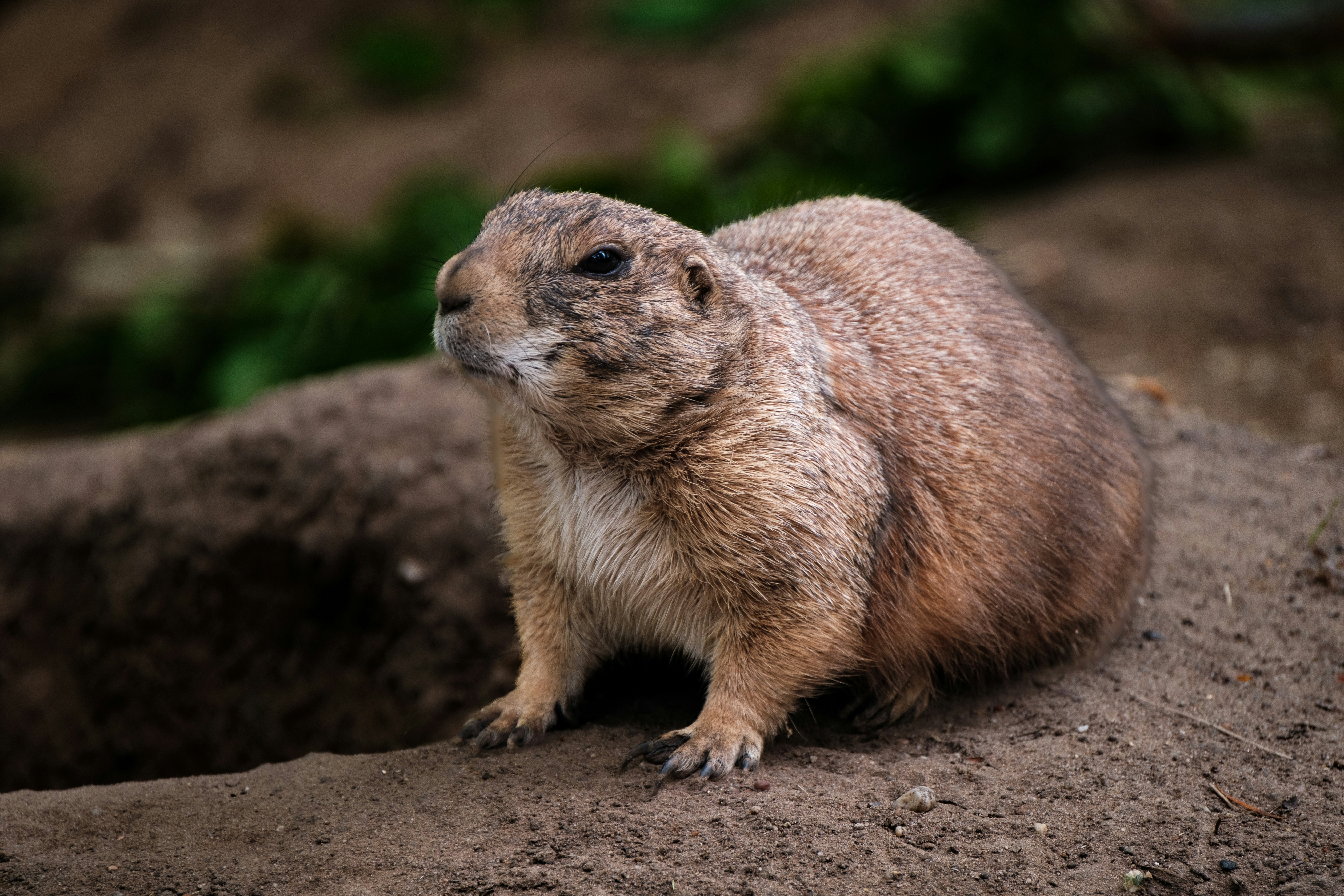 Photo by haberdoedas2