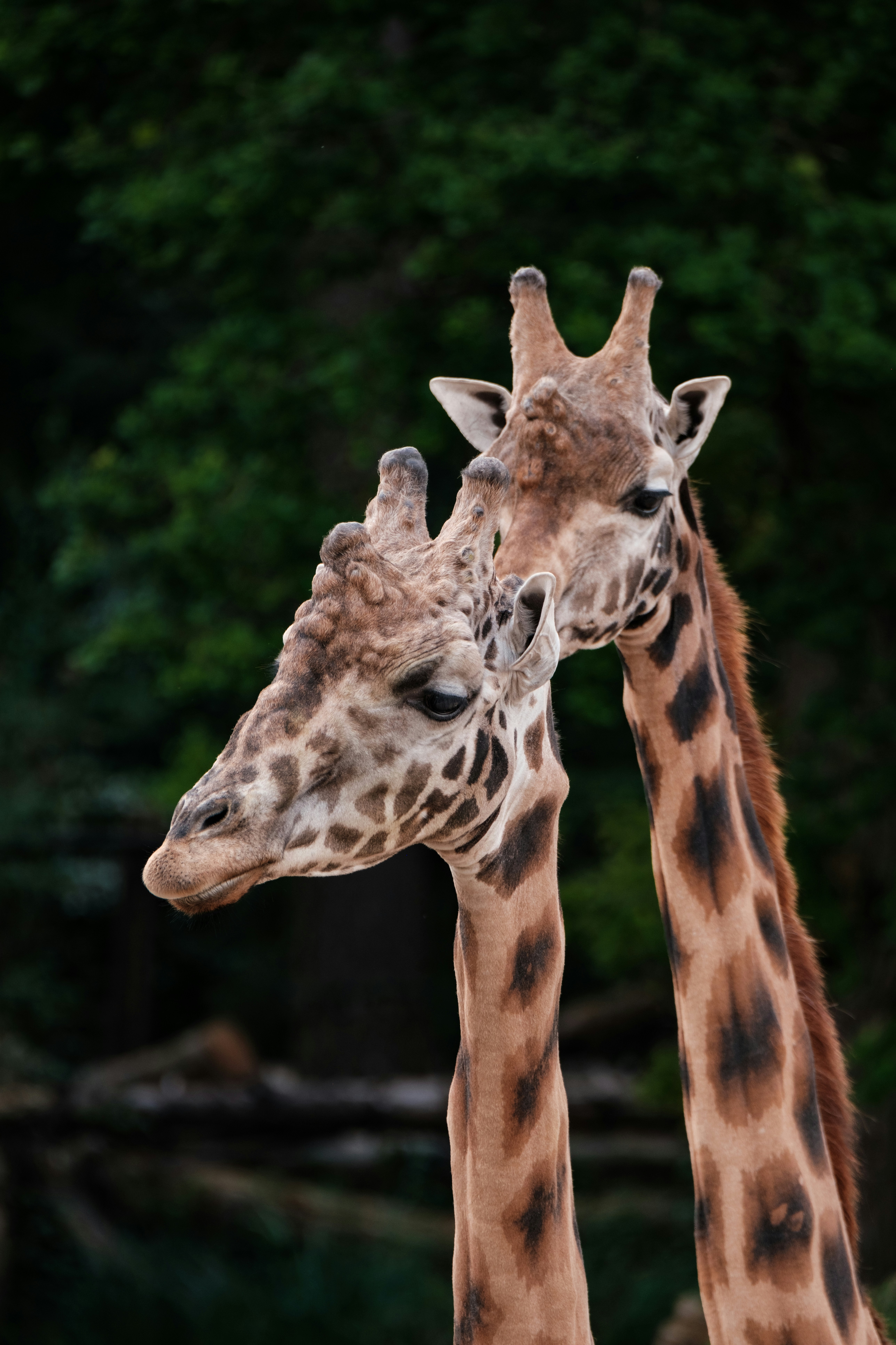 Photo by haberdoedas2