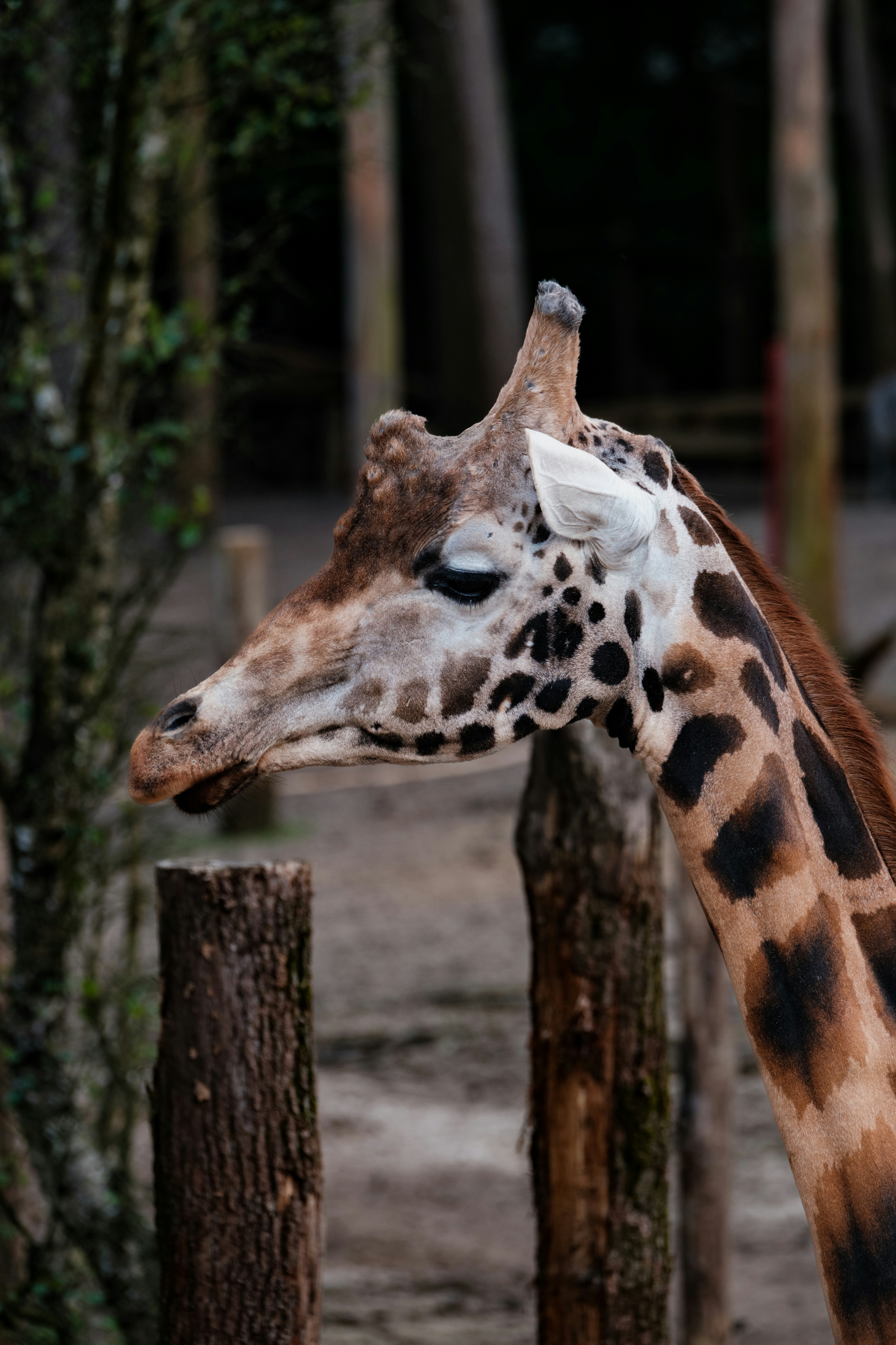 Photo by haberdoedas2