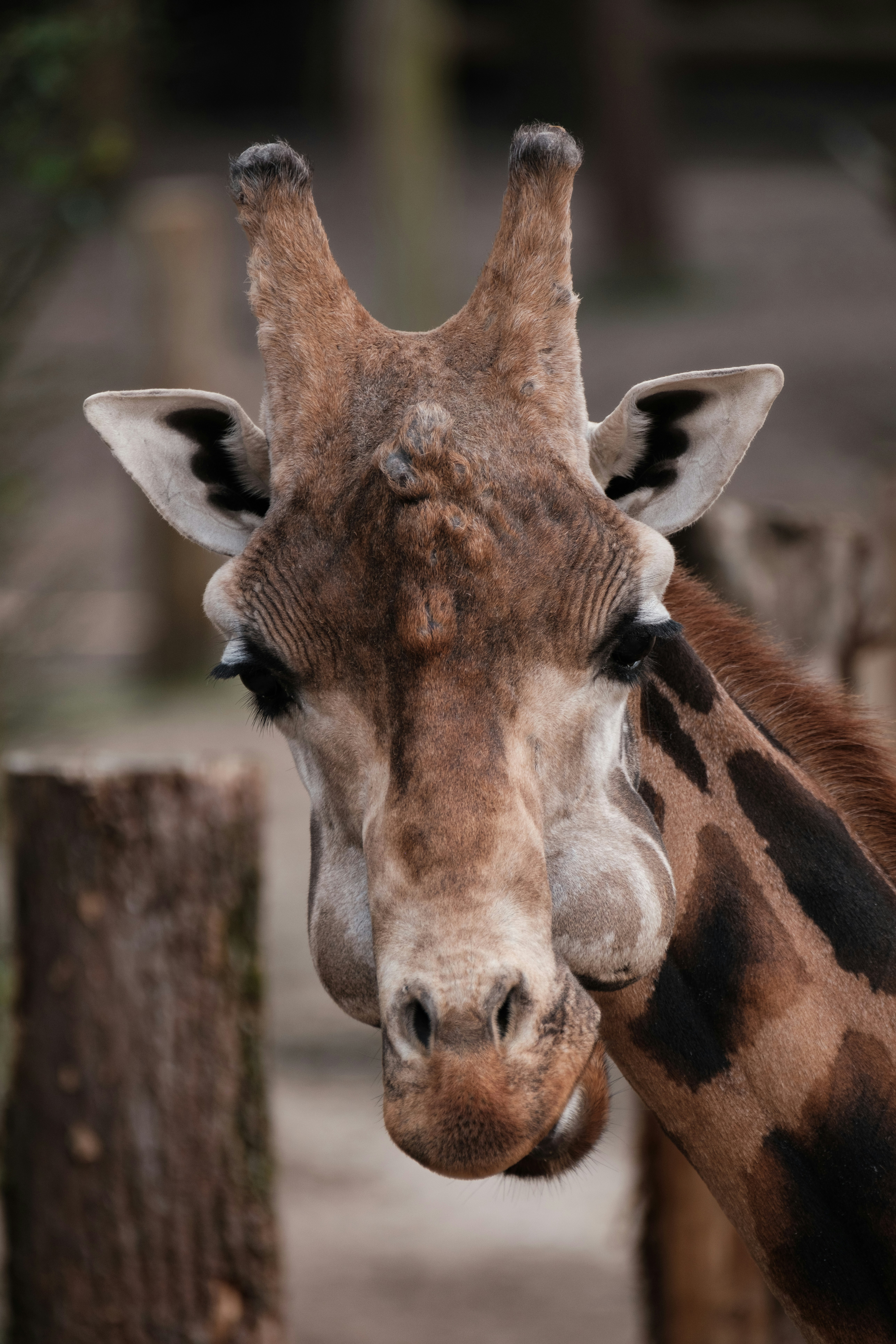 Photo by haberdoedas2