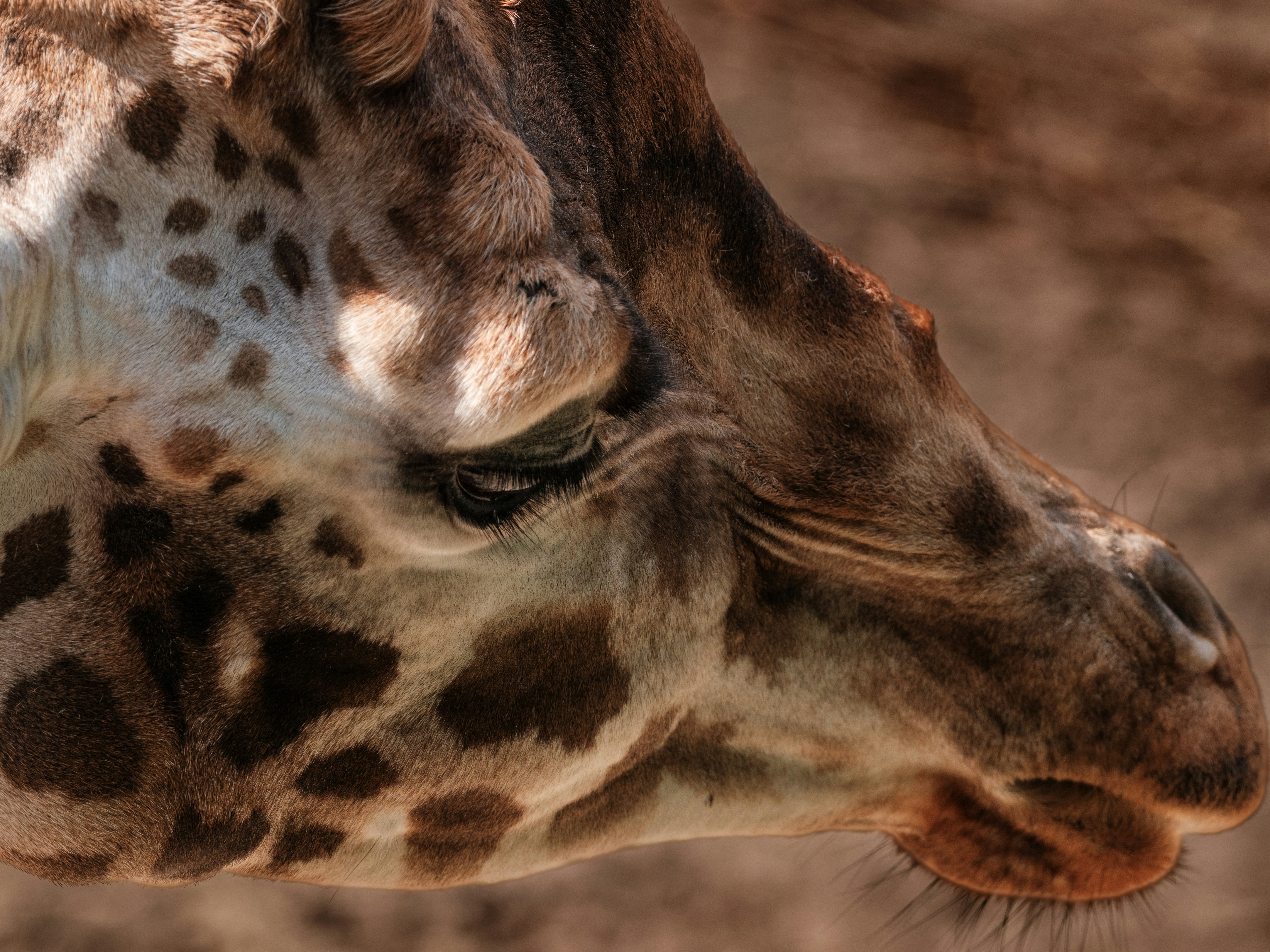 Photo by haberdoedas2