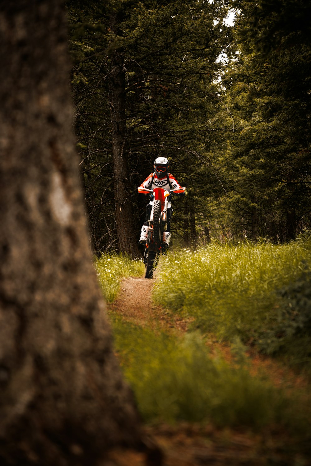 a person riding a dirt bike on a trail in the woods
