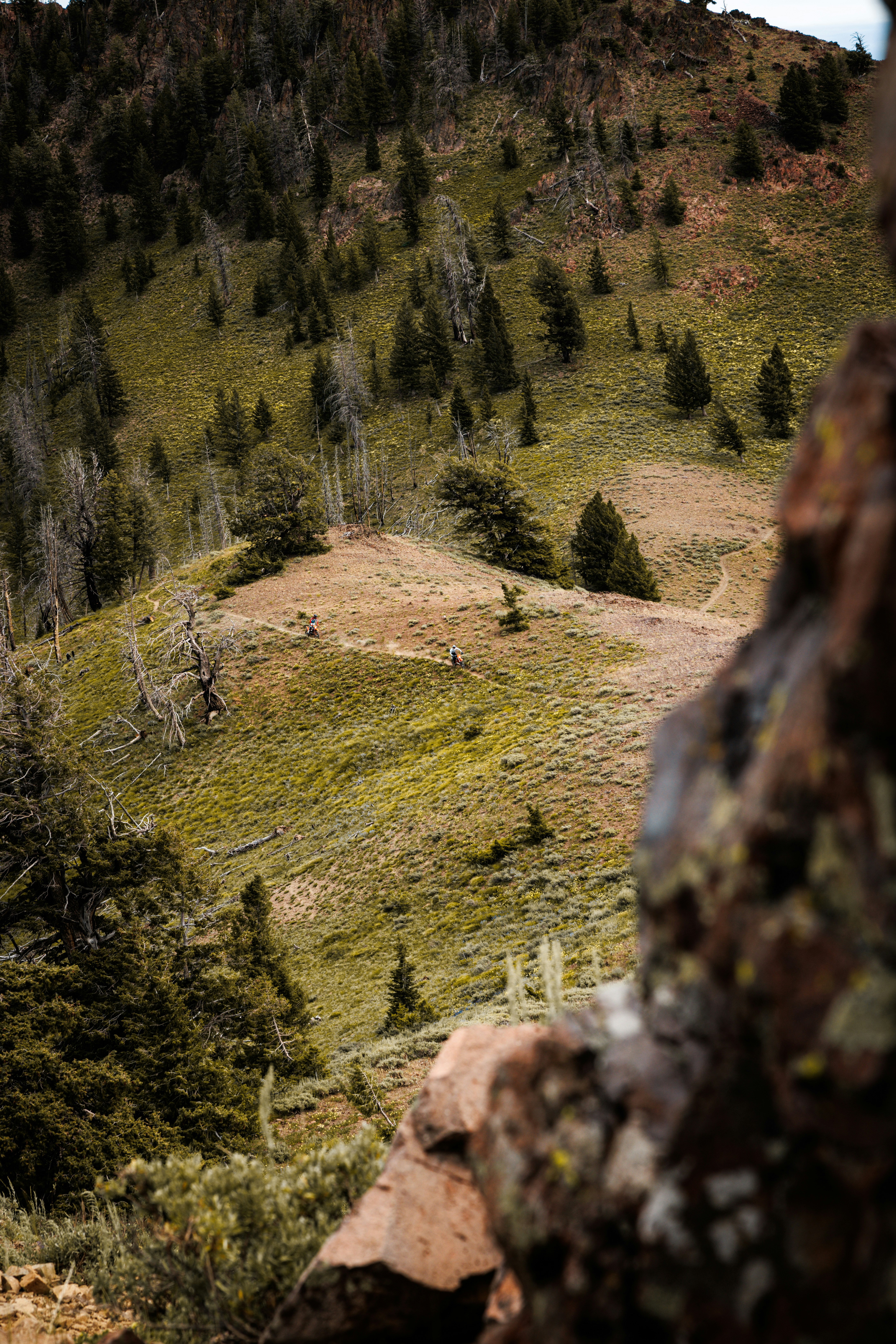 un homme faisant du VTT sur une colline verdoyante