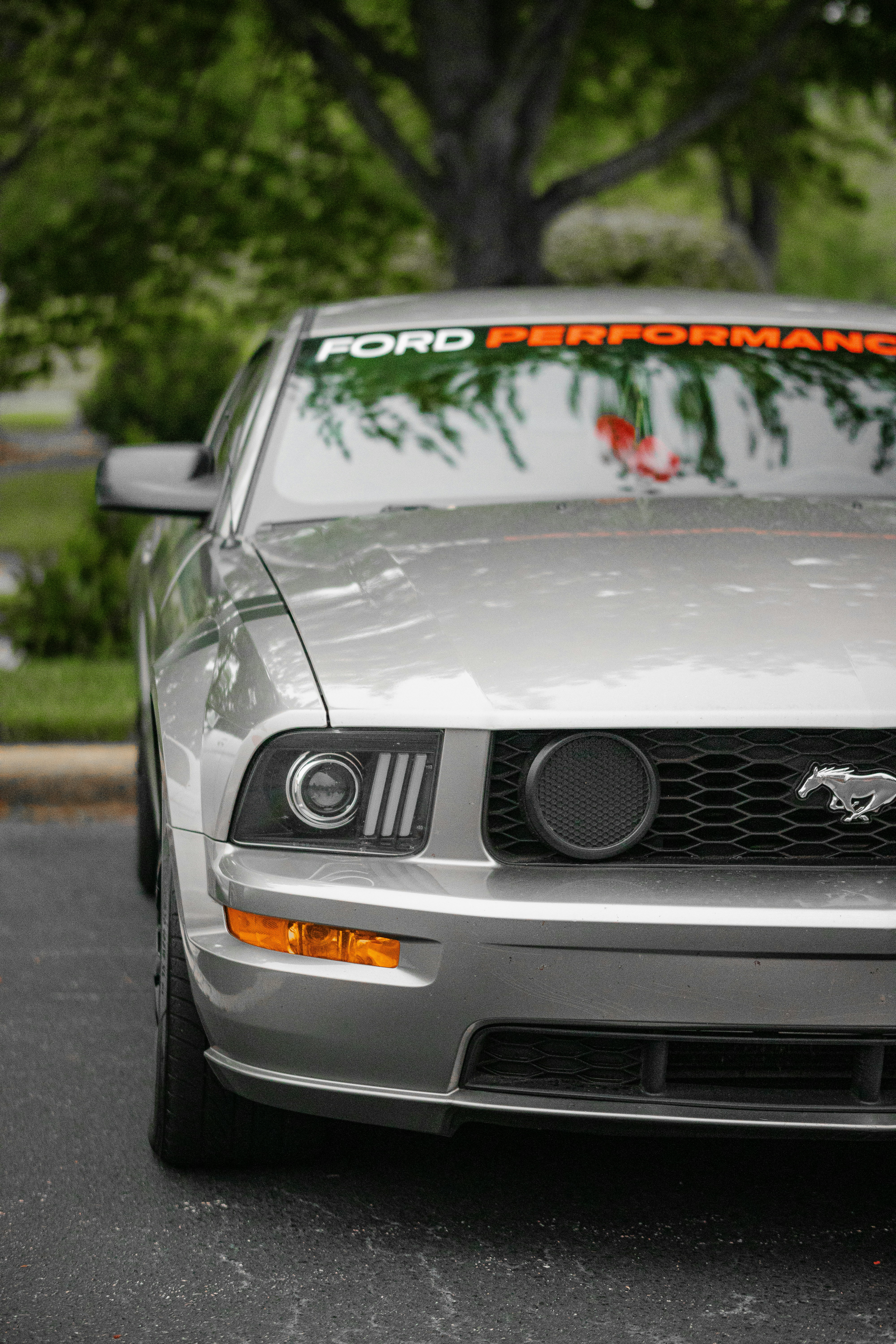 Un Mustang plateado estacionado en un estacionamiento foto – Imagen de  Coche gratuita en Unsplash, image size:3000x4500
