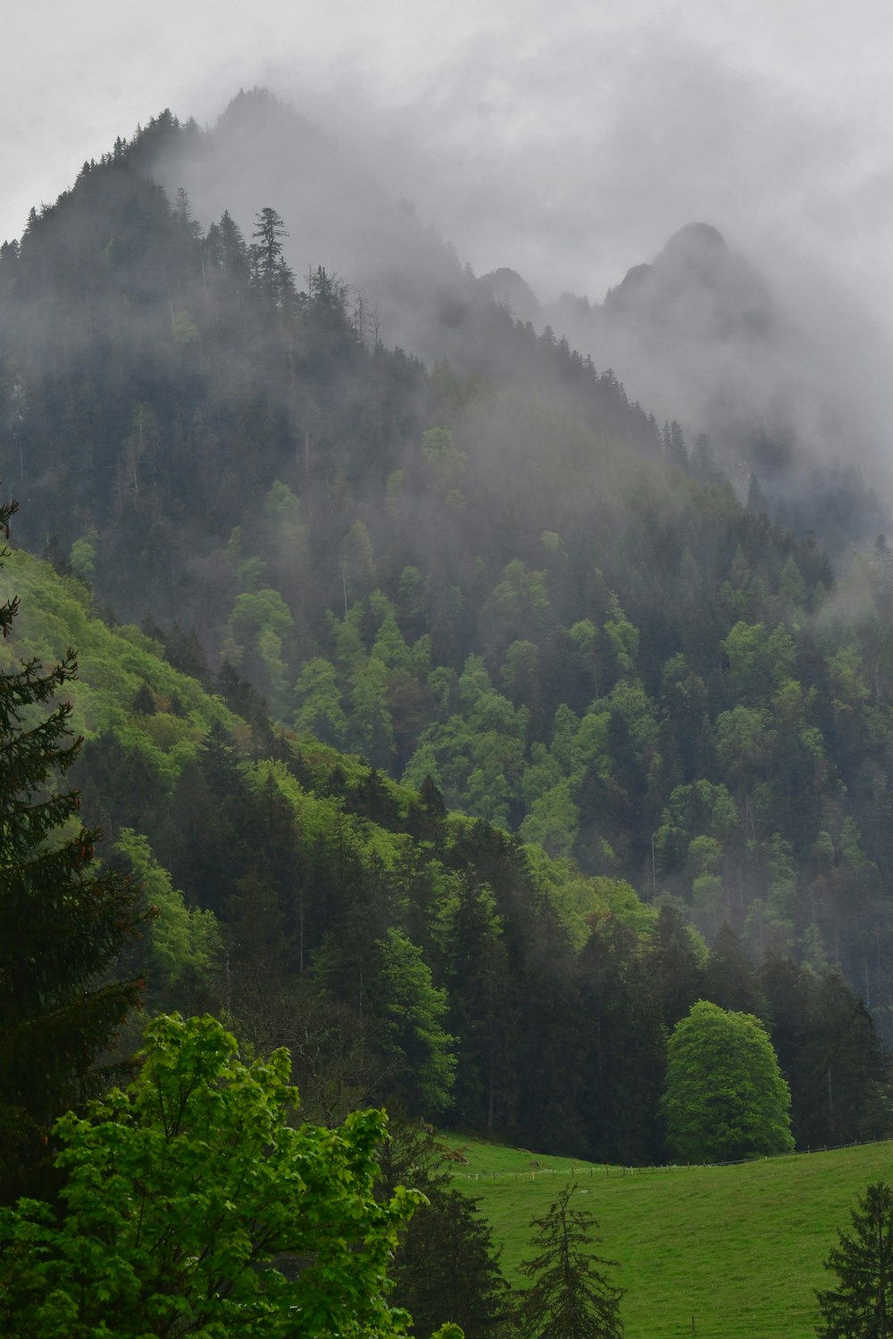 a lush green hillside covered in clouds and trees