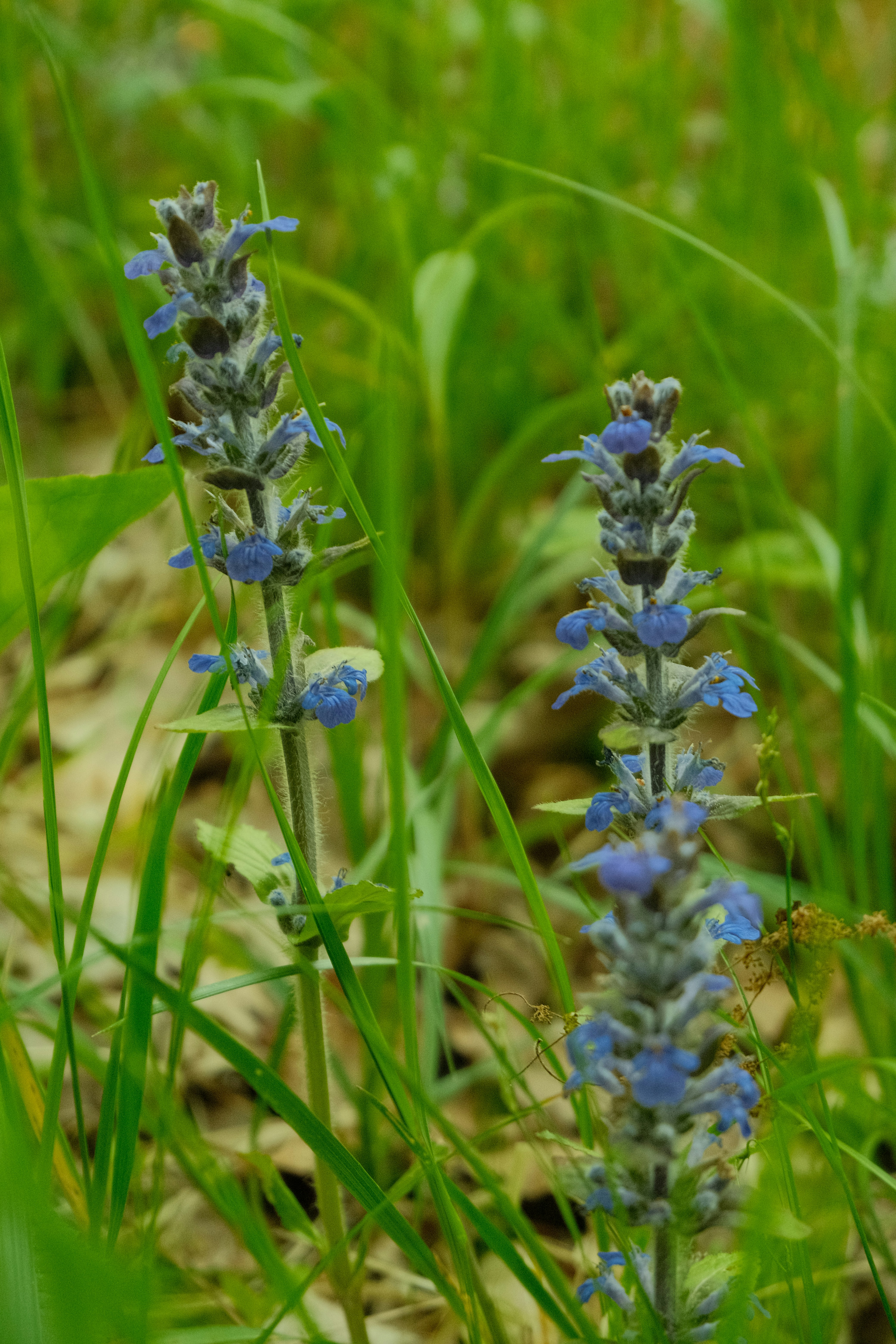 Photo by dawid_kochman