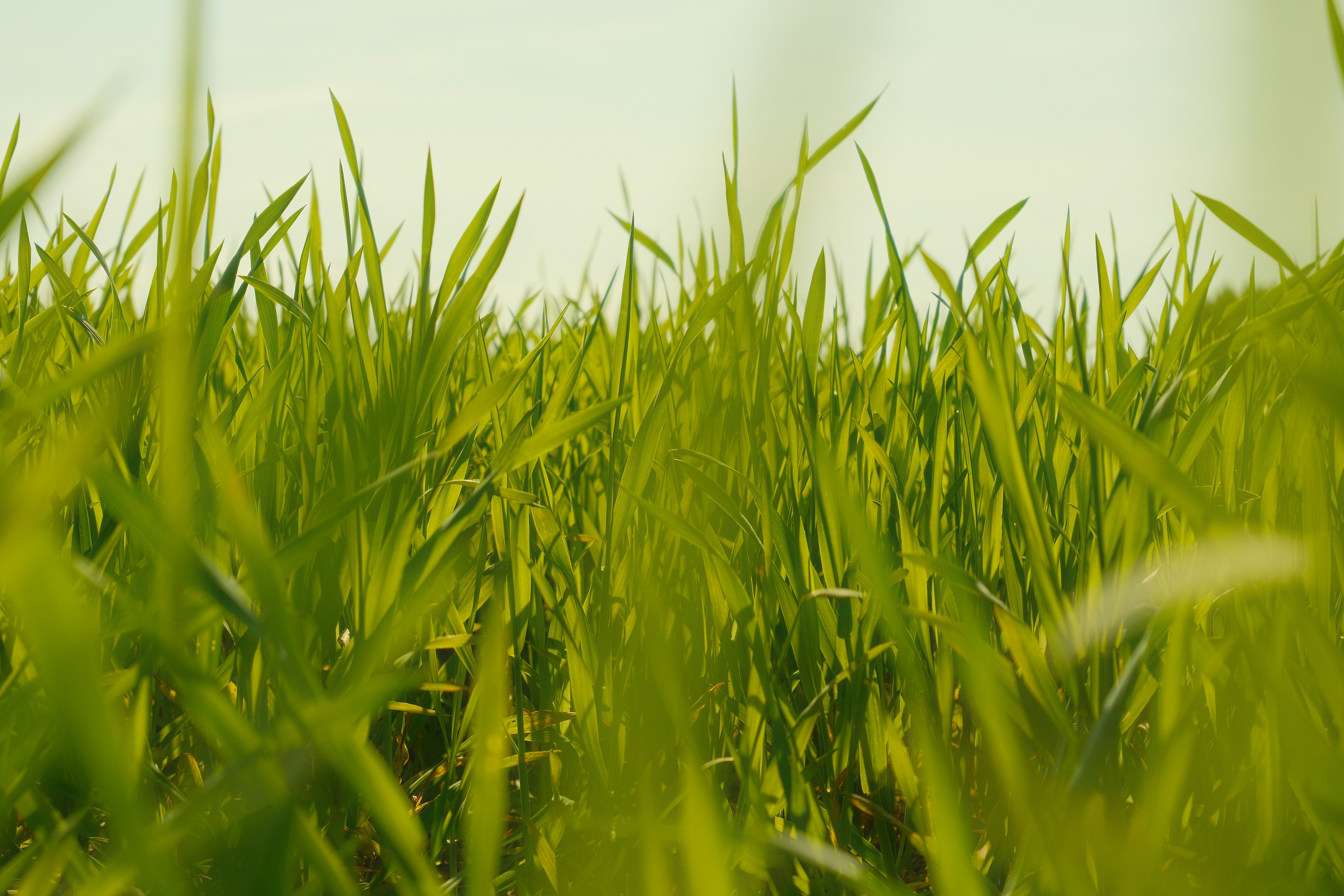 Photo by dawid_kochman