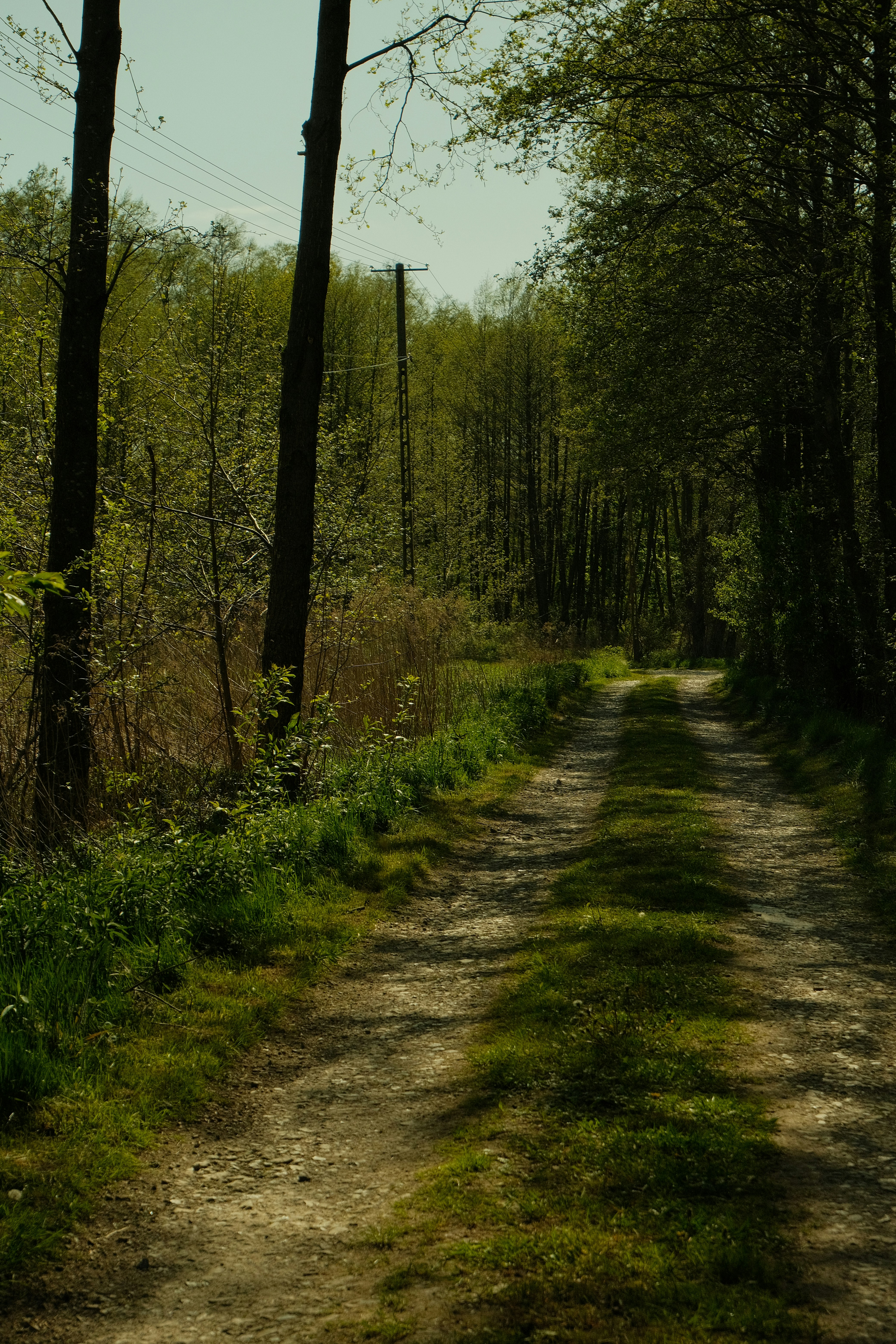 Photo by dawid_kochman