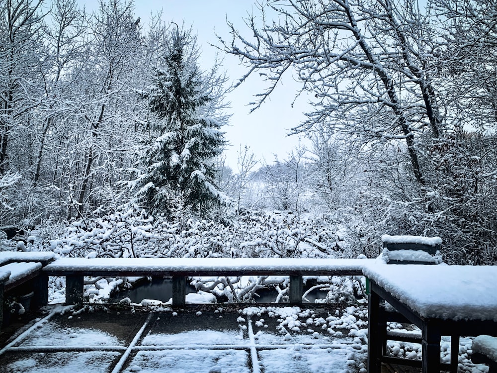 a snowy view of trees and bushes from a deck