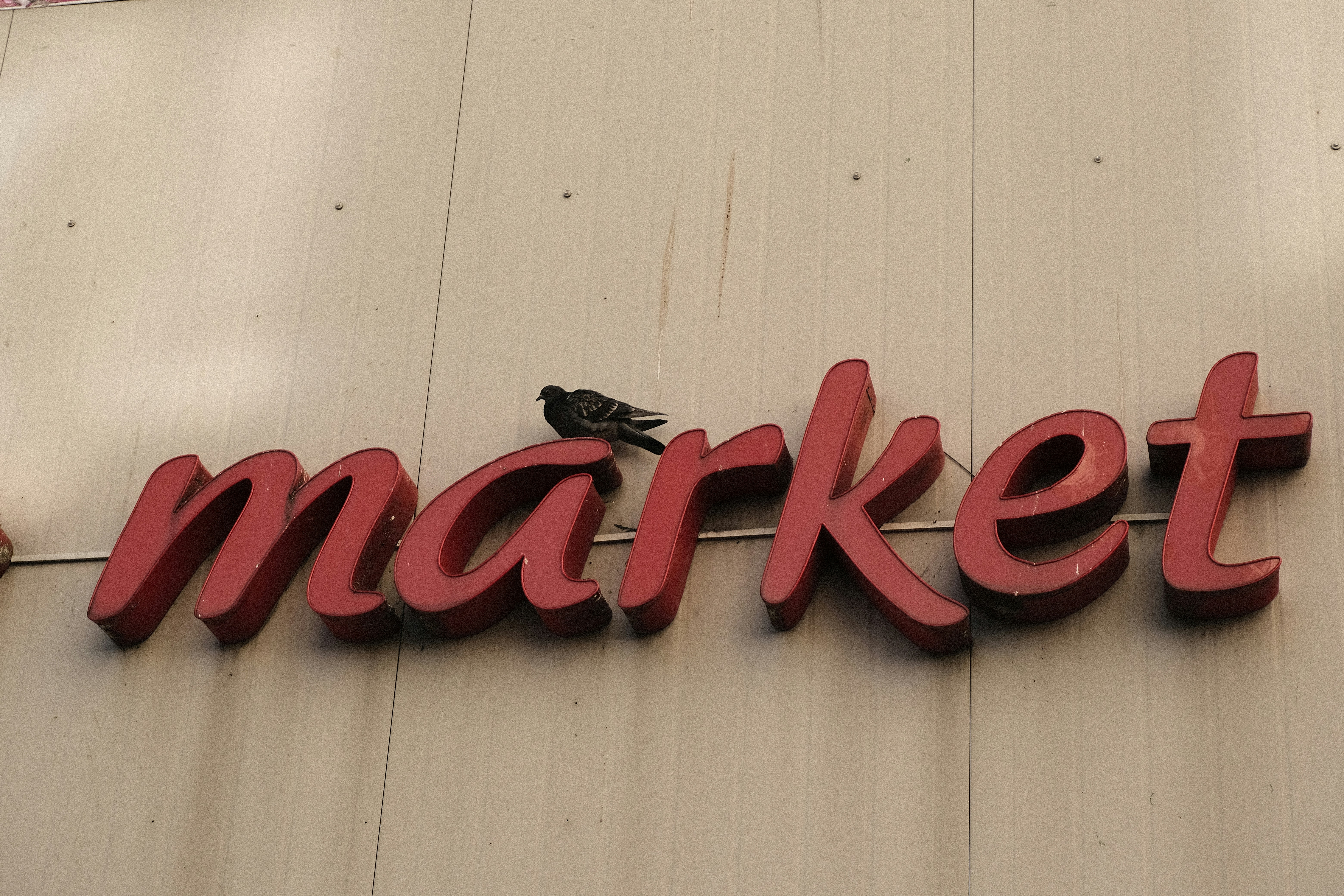A pigeon perched atop a market sign, blending urban life with nature's presence in the city.