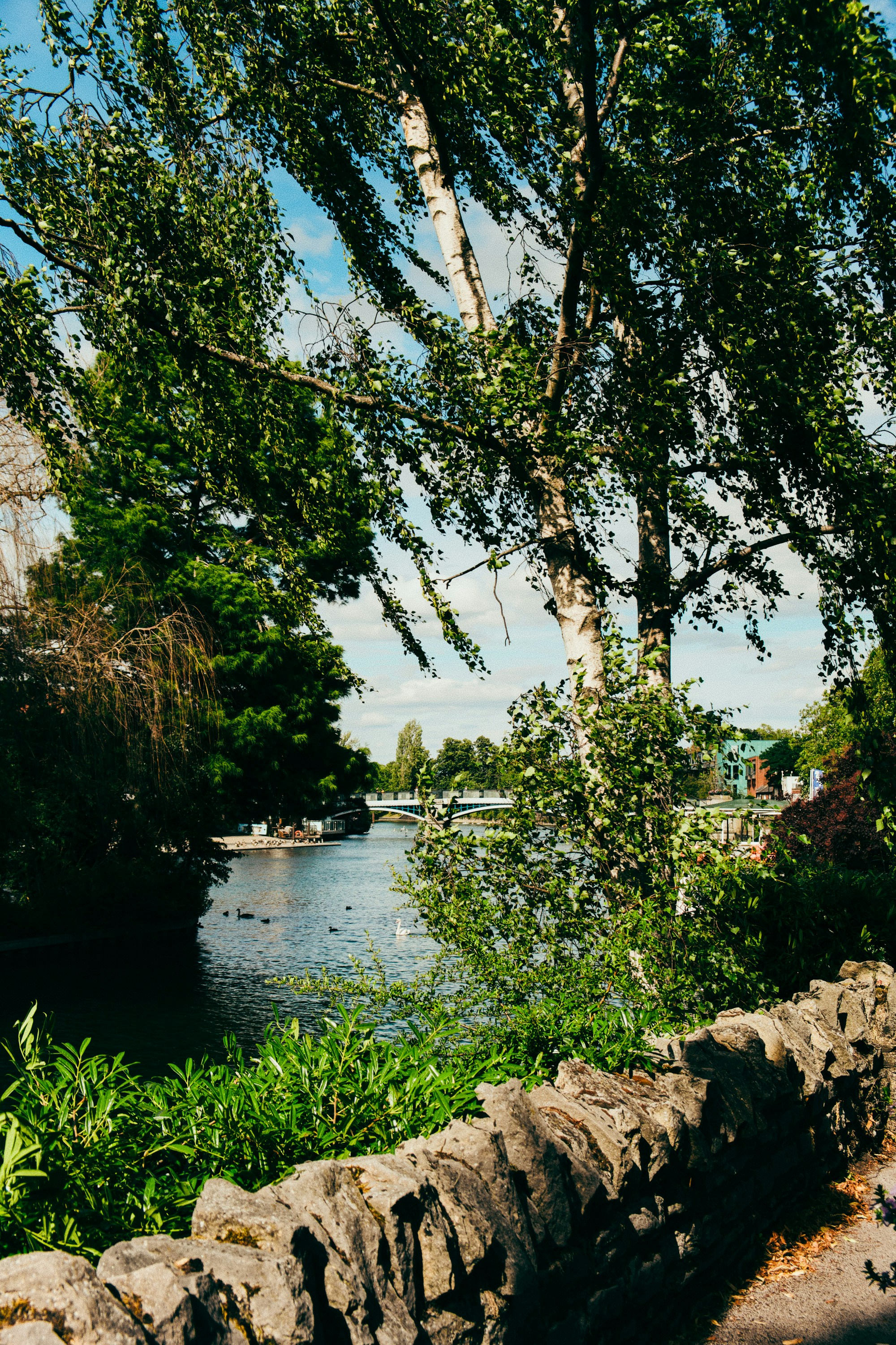 Photo by benjamin_photography