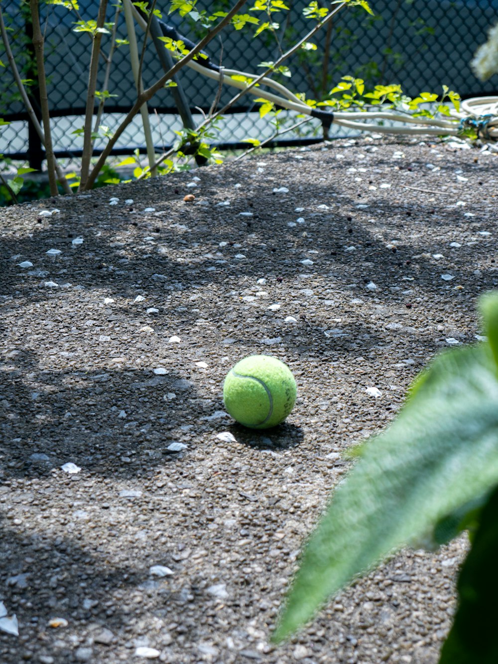 a tennis ball sitting on the ground near a fence
