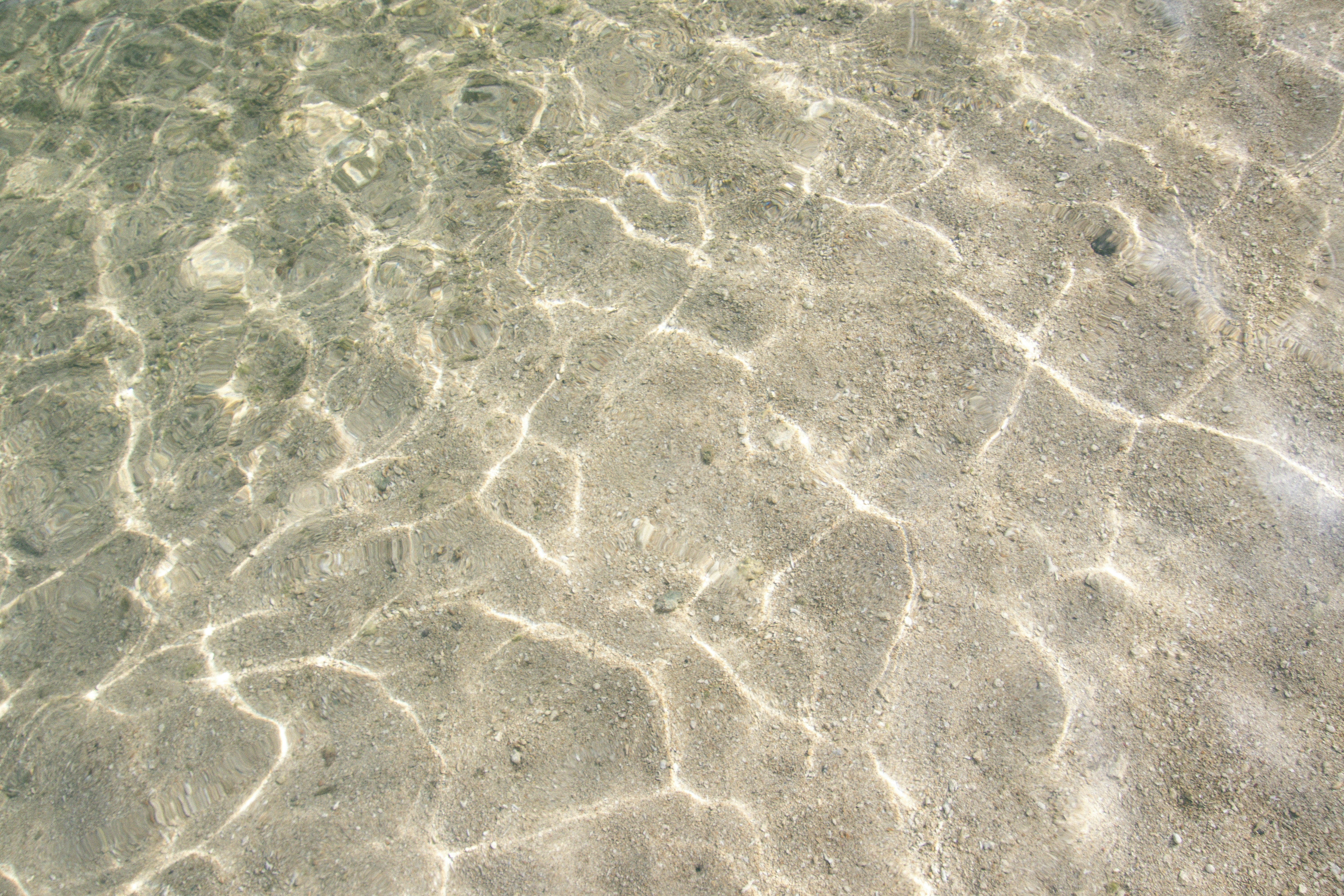 a bird is standing in shallow water on a beach