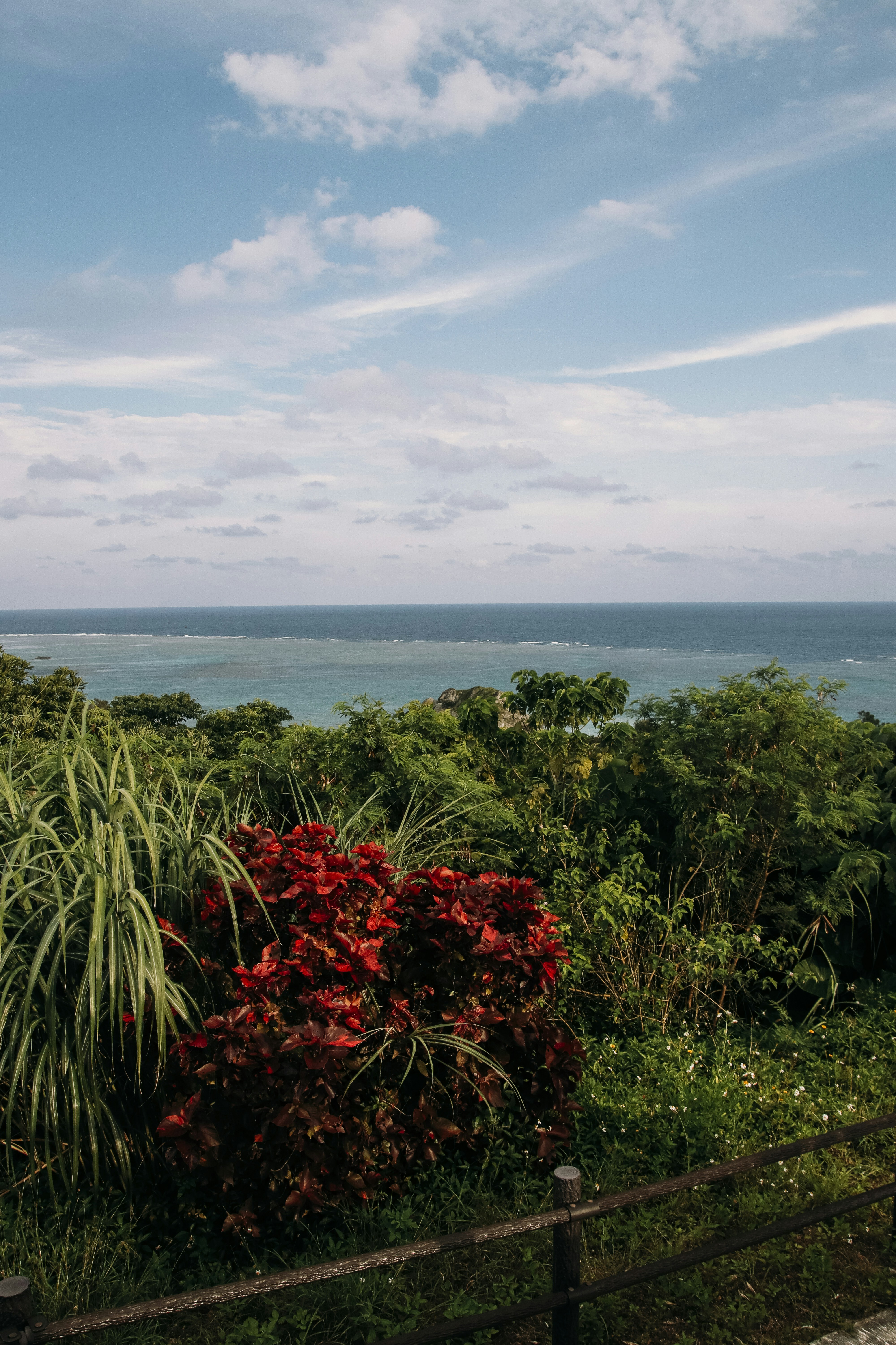 a view of the ocean from a hill top