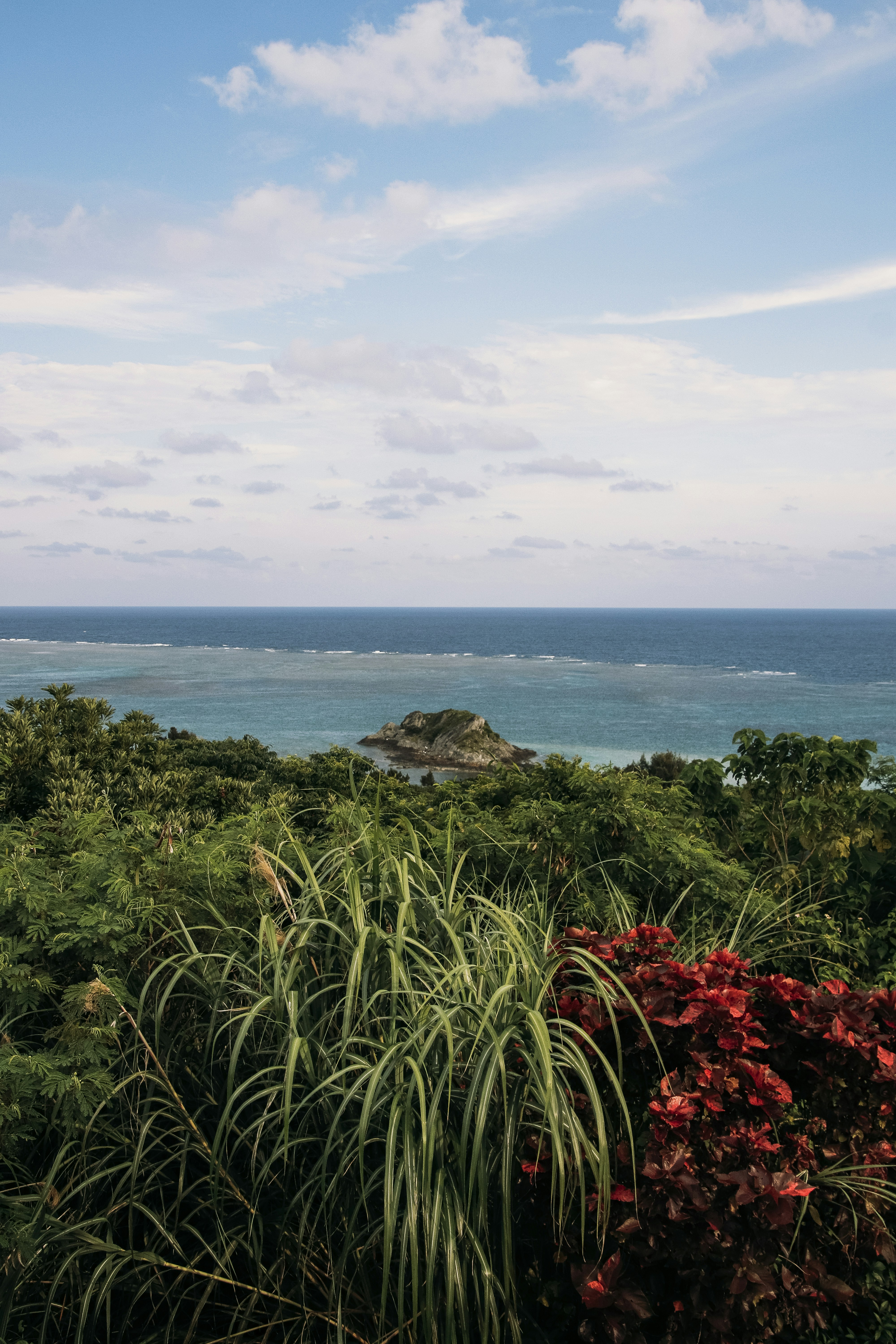 a view of a body of water from a hill