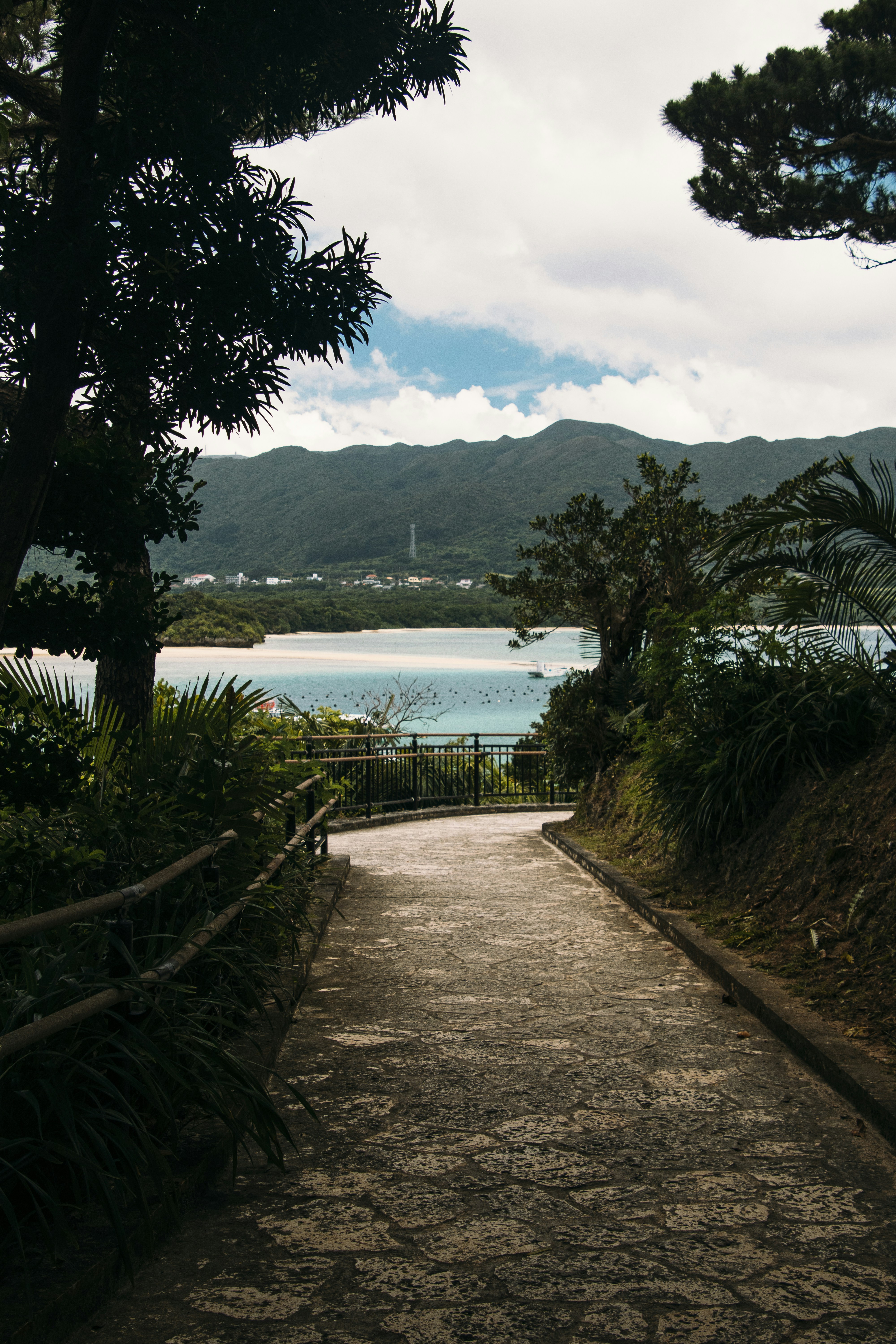 a pathway leading to a body of water