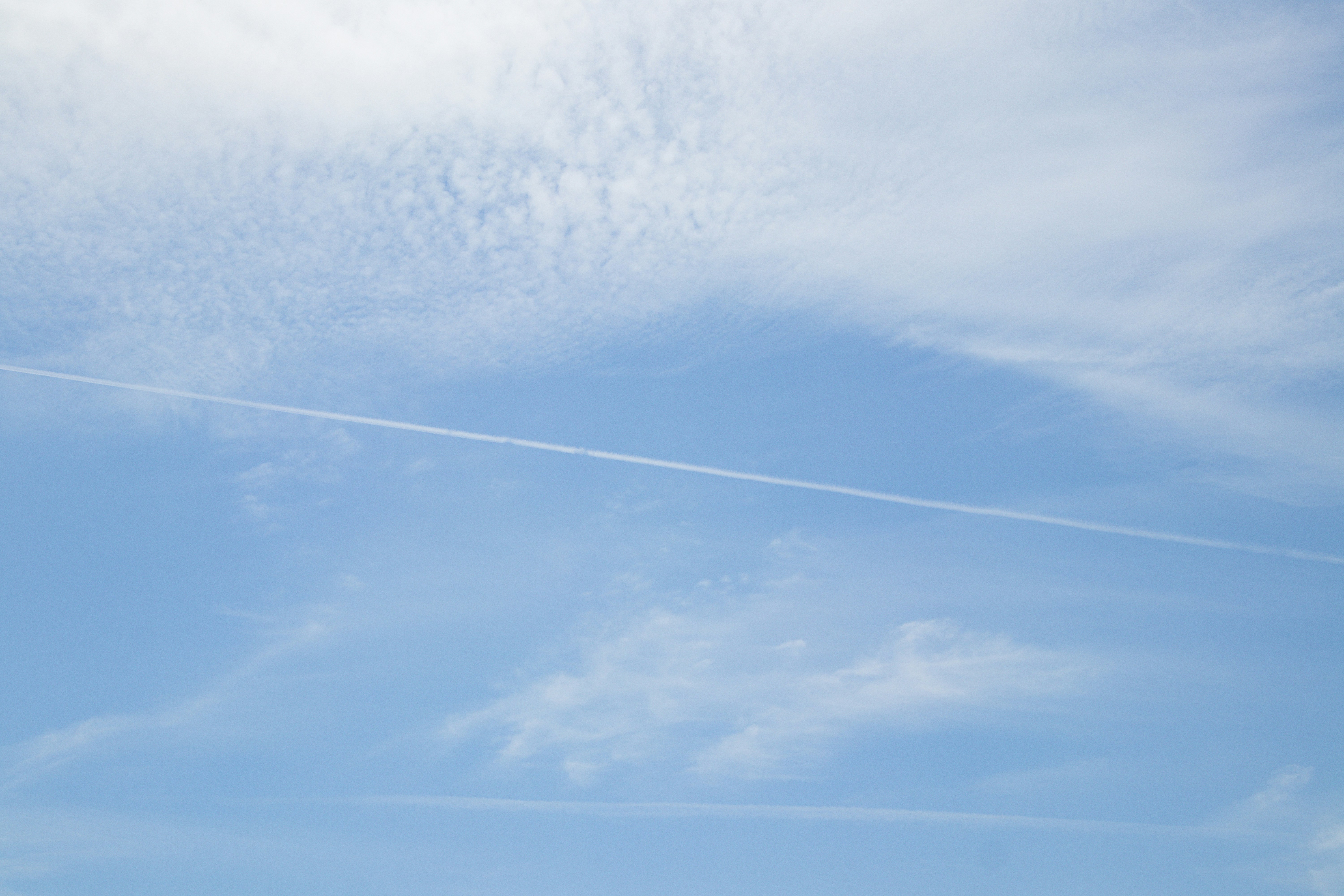 청와대 관람 예약 방법과 셔틀버스 이용법