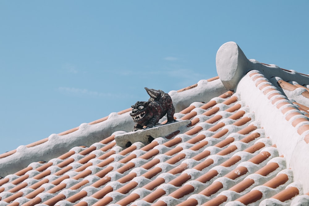 a dog is standing on the roof of a house