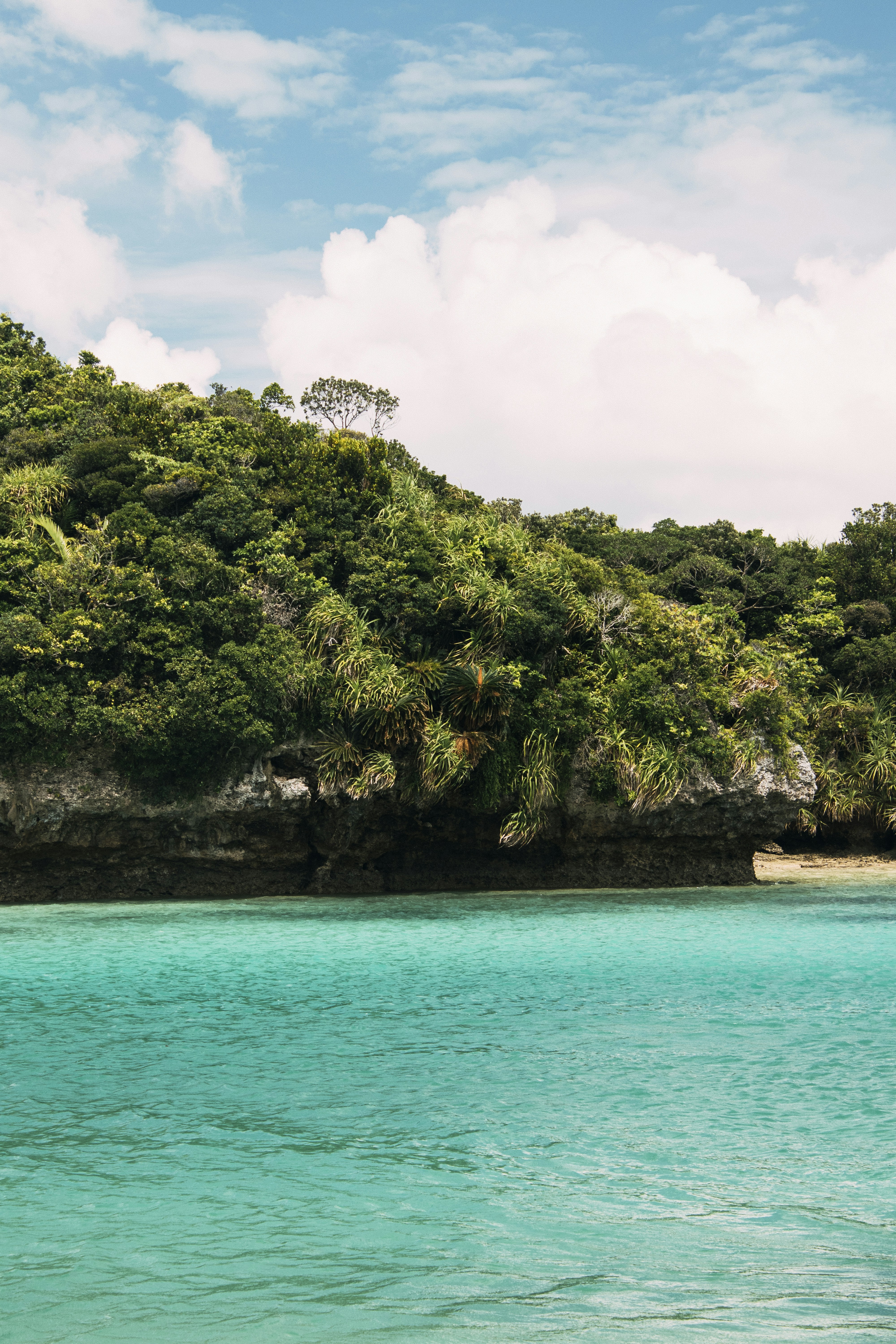 a large body of water surrounded by trees