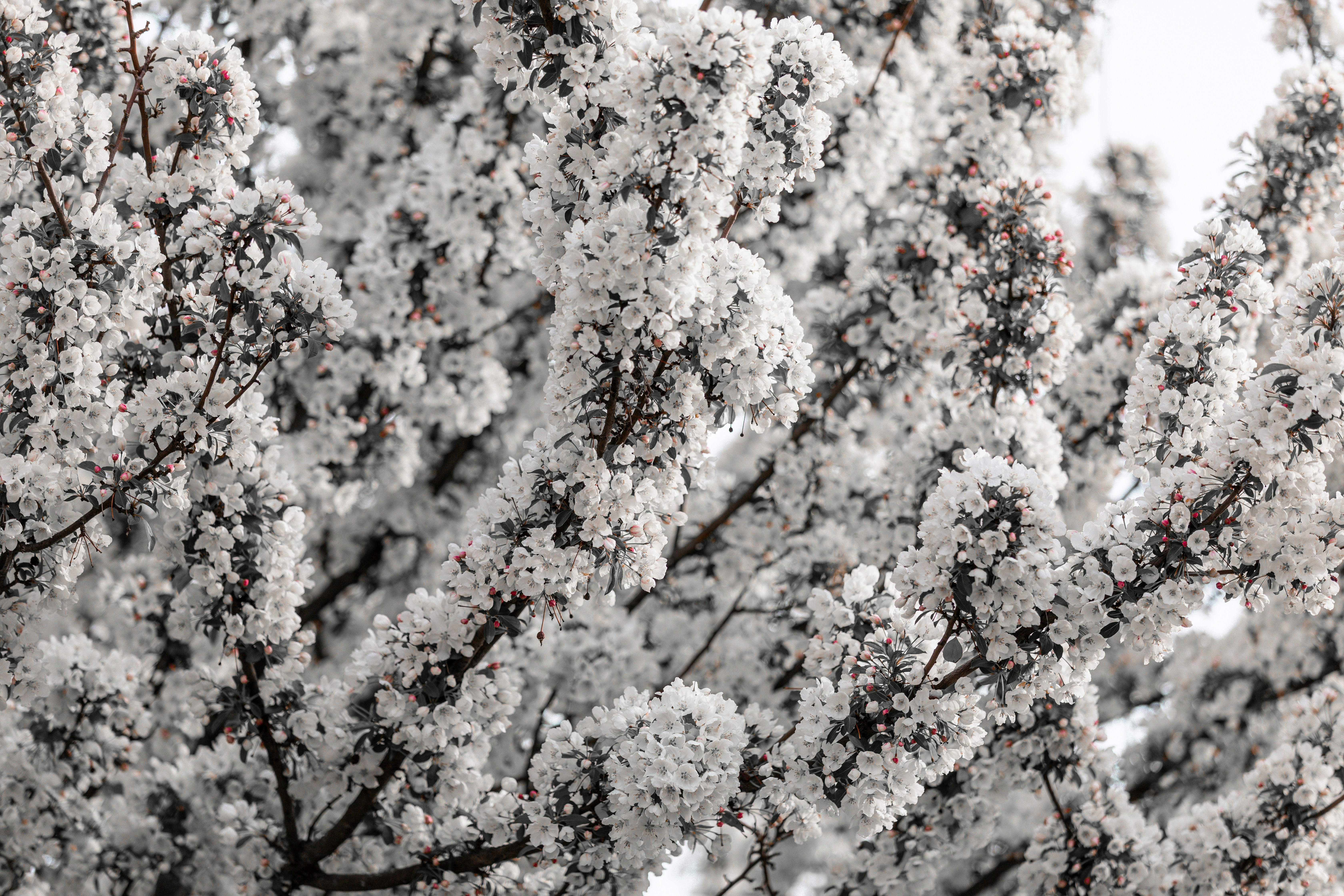 Photo by gabriel_meinert