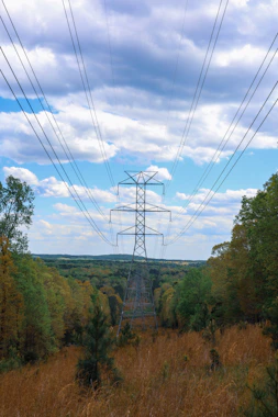 a train traveling through a lush green countryside