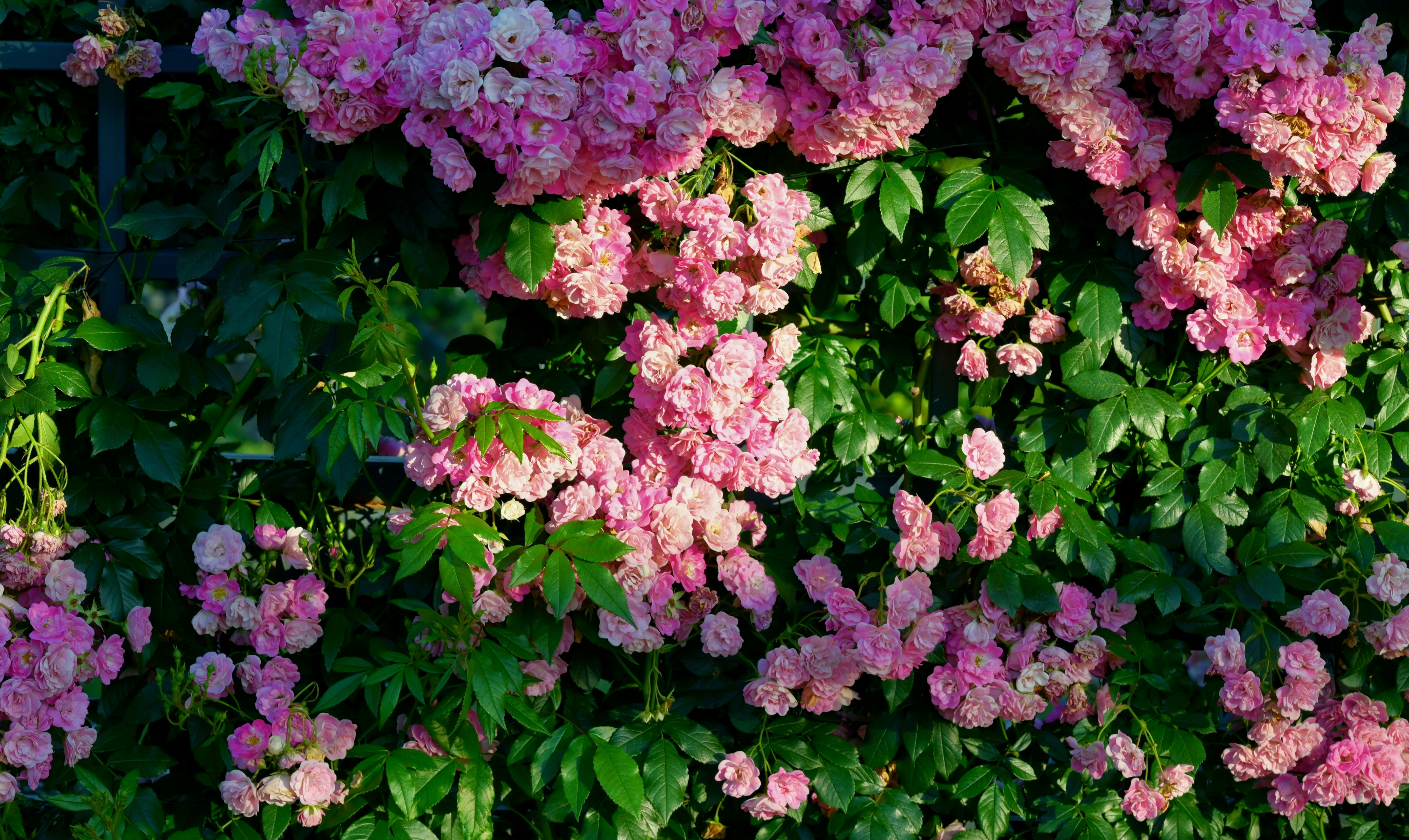 八字命理中流年的具体看法与运势解析