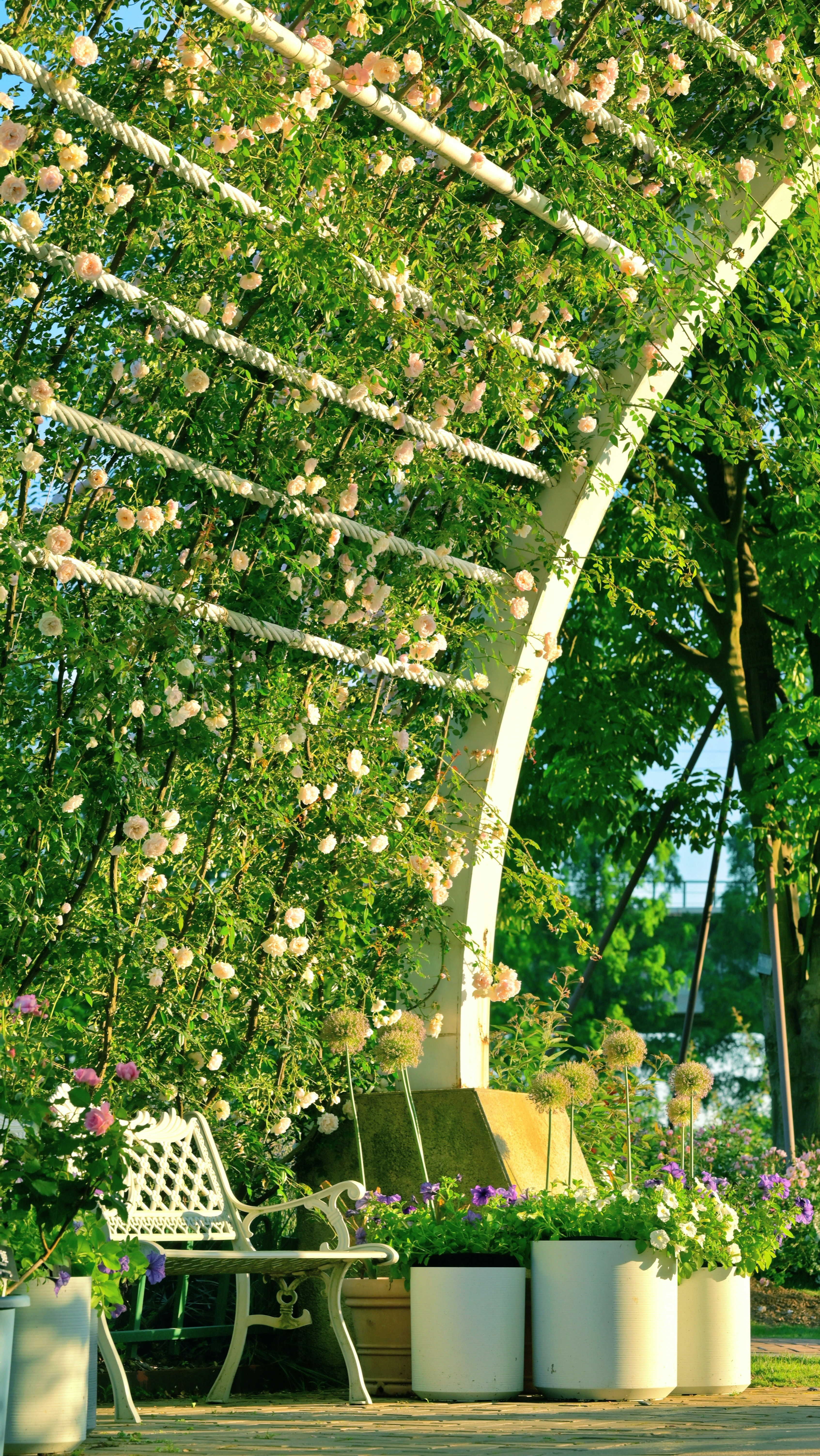 eine weiße Bank, die unter einem üppig grünen Baldachin sitzt