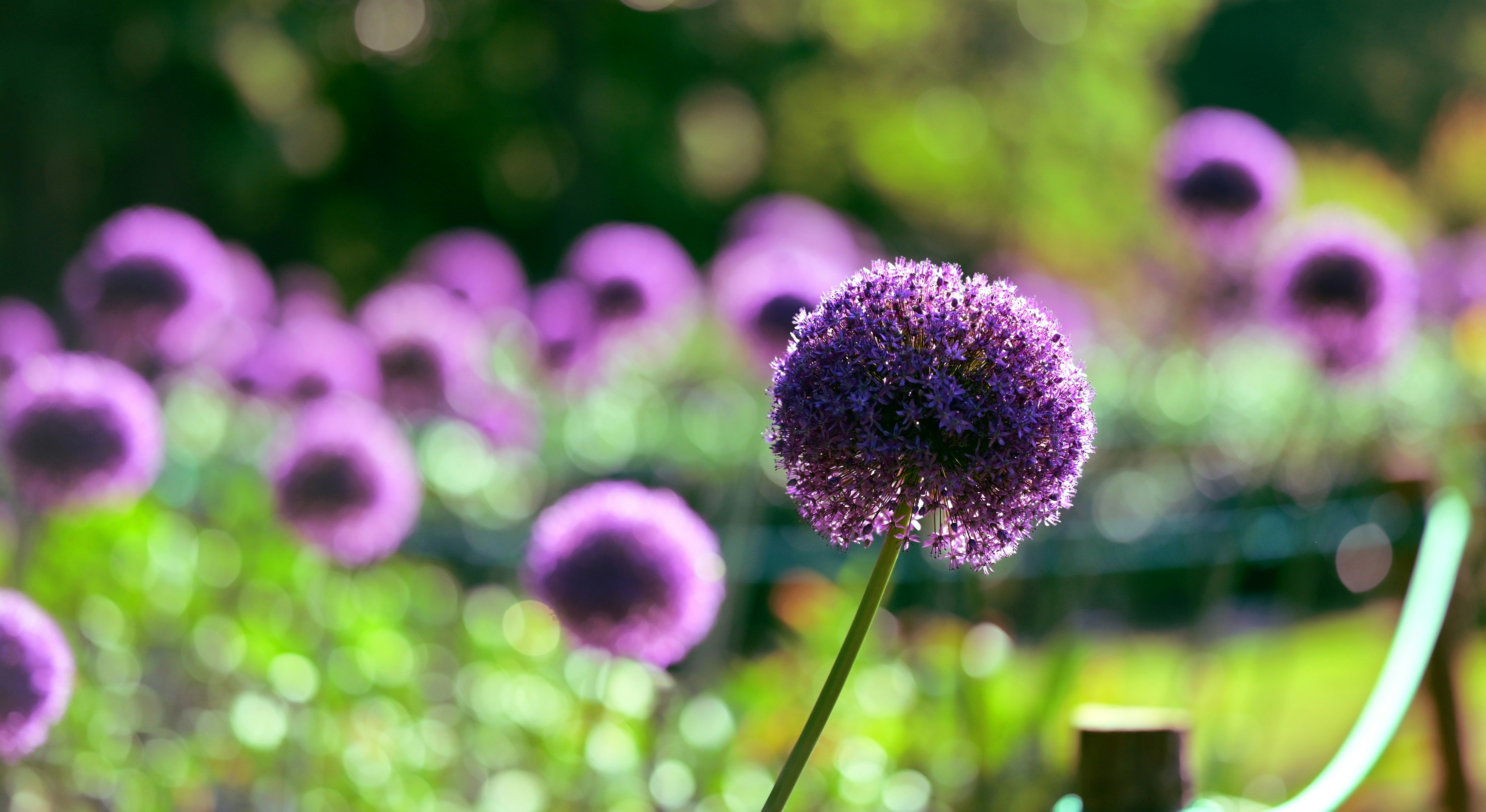 Photo by brooks02333333