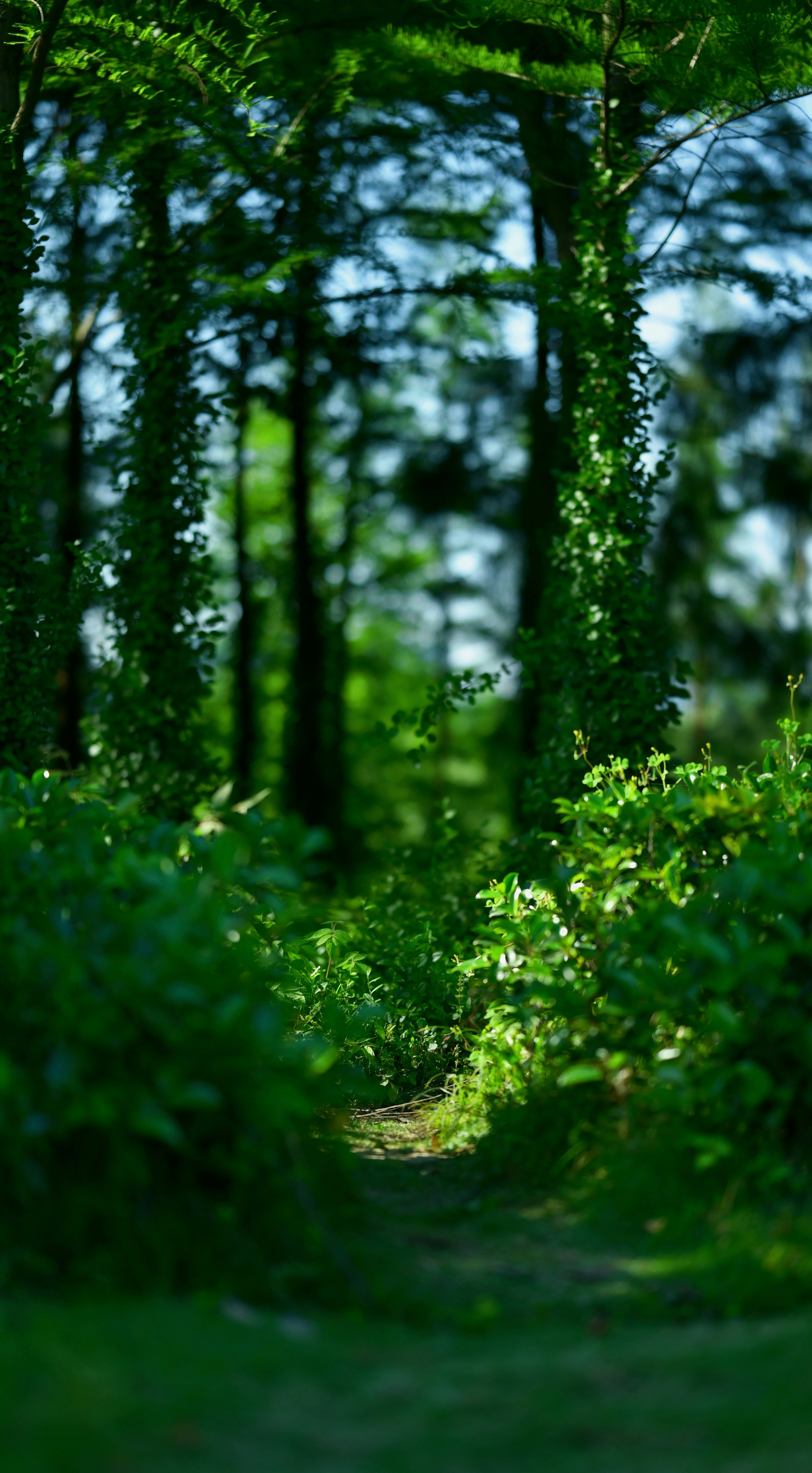 Photo by brooks02333333