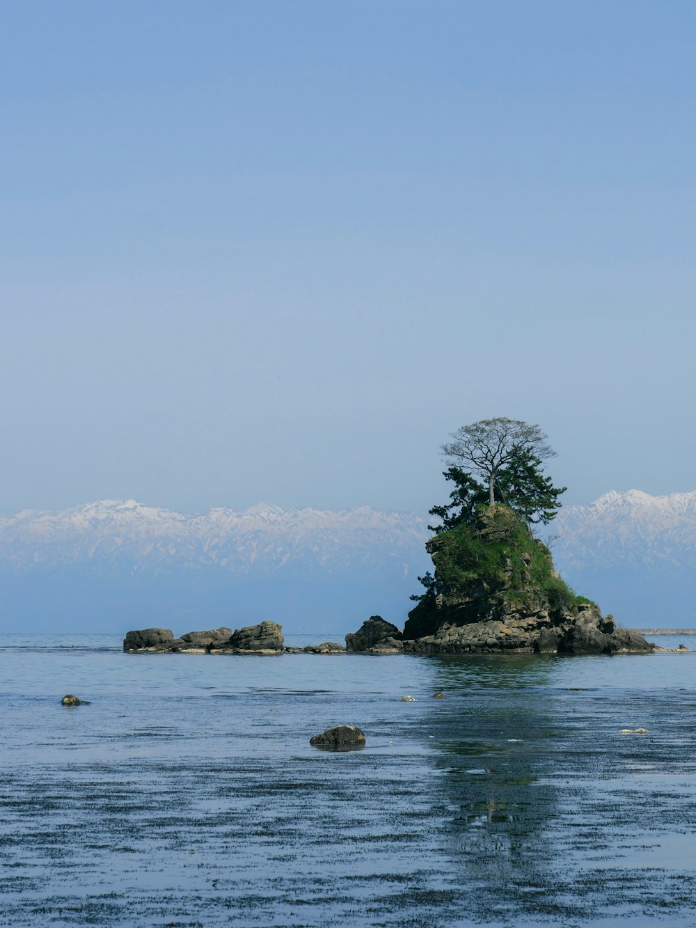 a lone tree on an island in the middle of the ocean