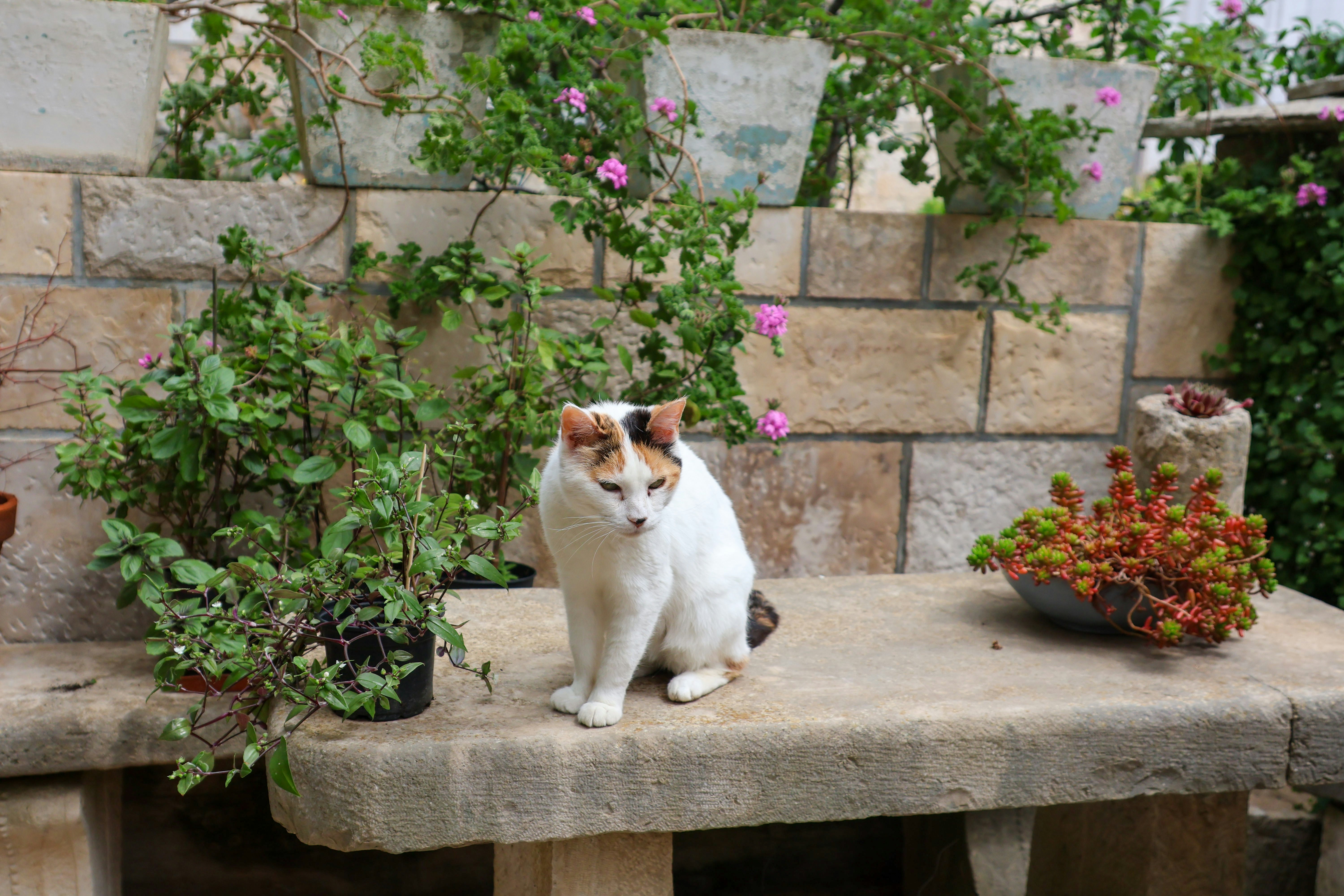 Photo by traveleroohlala