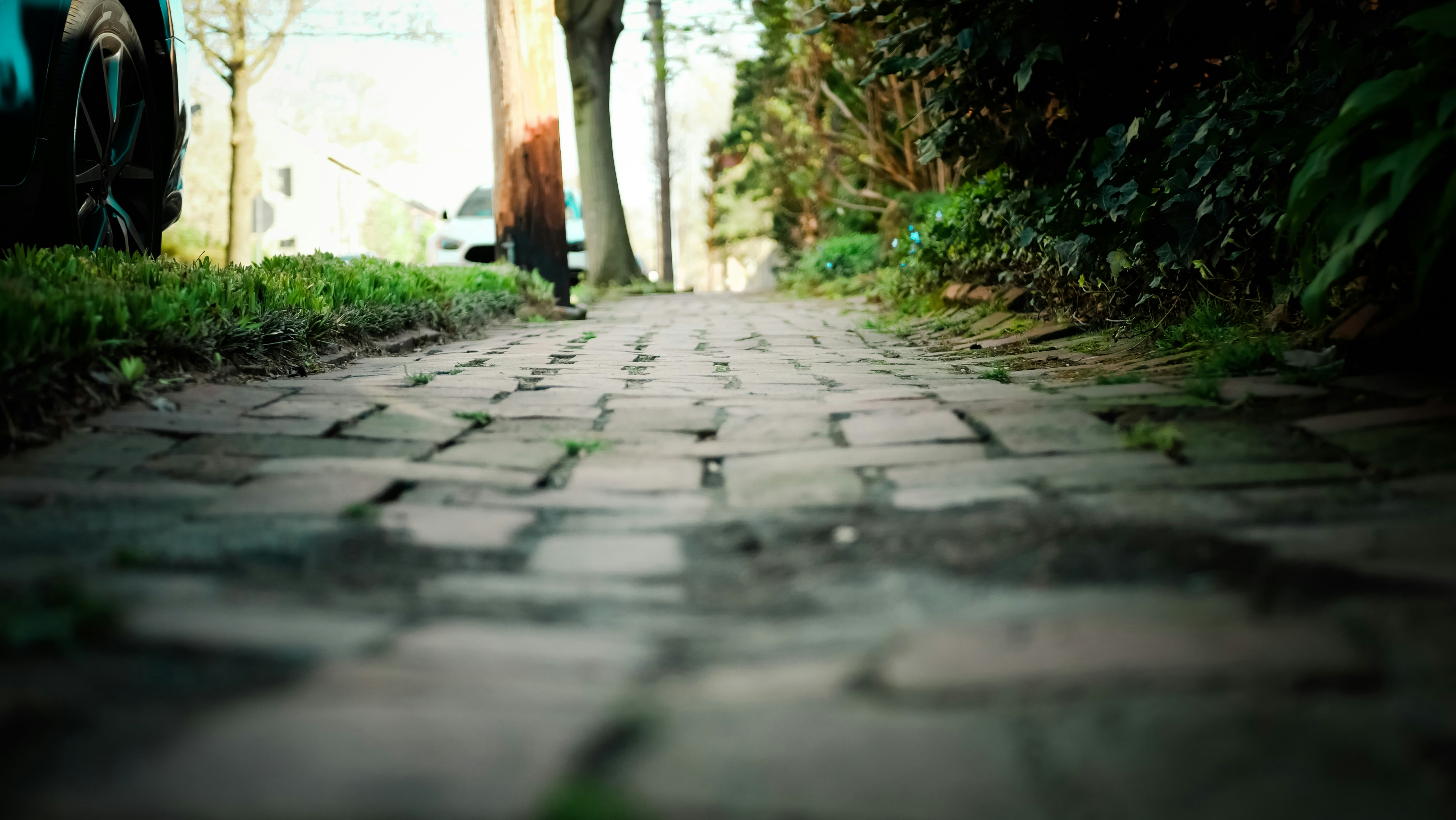 Photo by magicunsplash